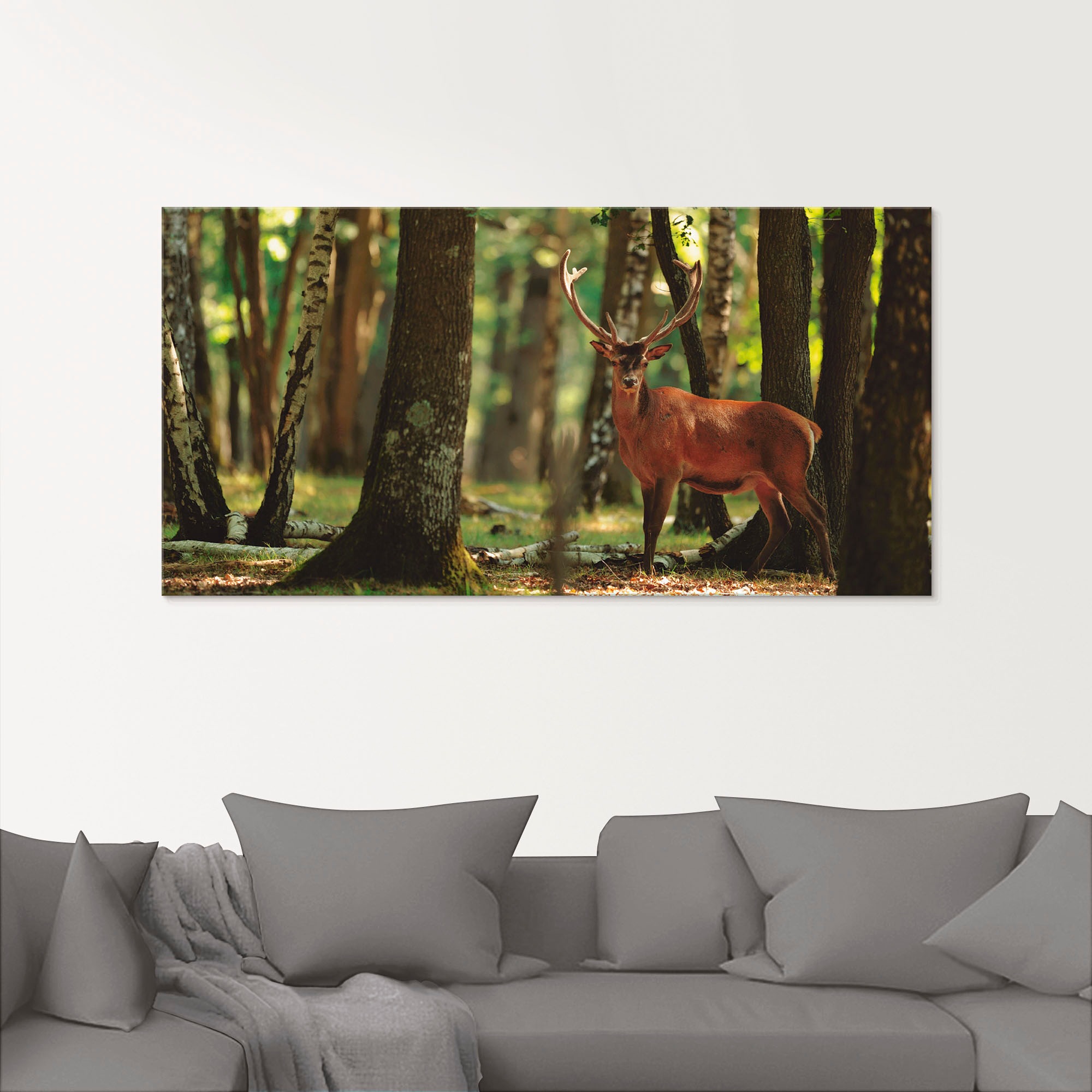 Artland Glasbild »Hirsch 4 - Wald« Wildtiere 1 Stk. tlg. in verschiedenen Grössen