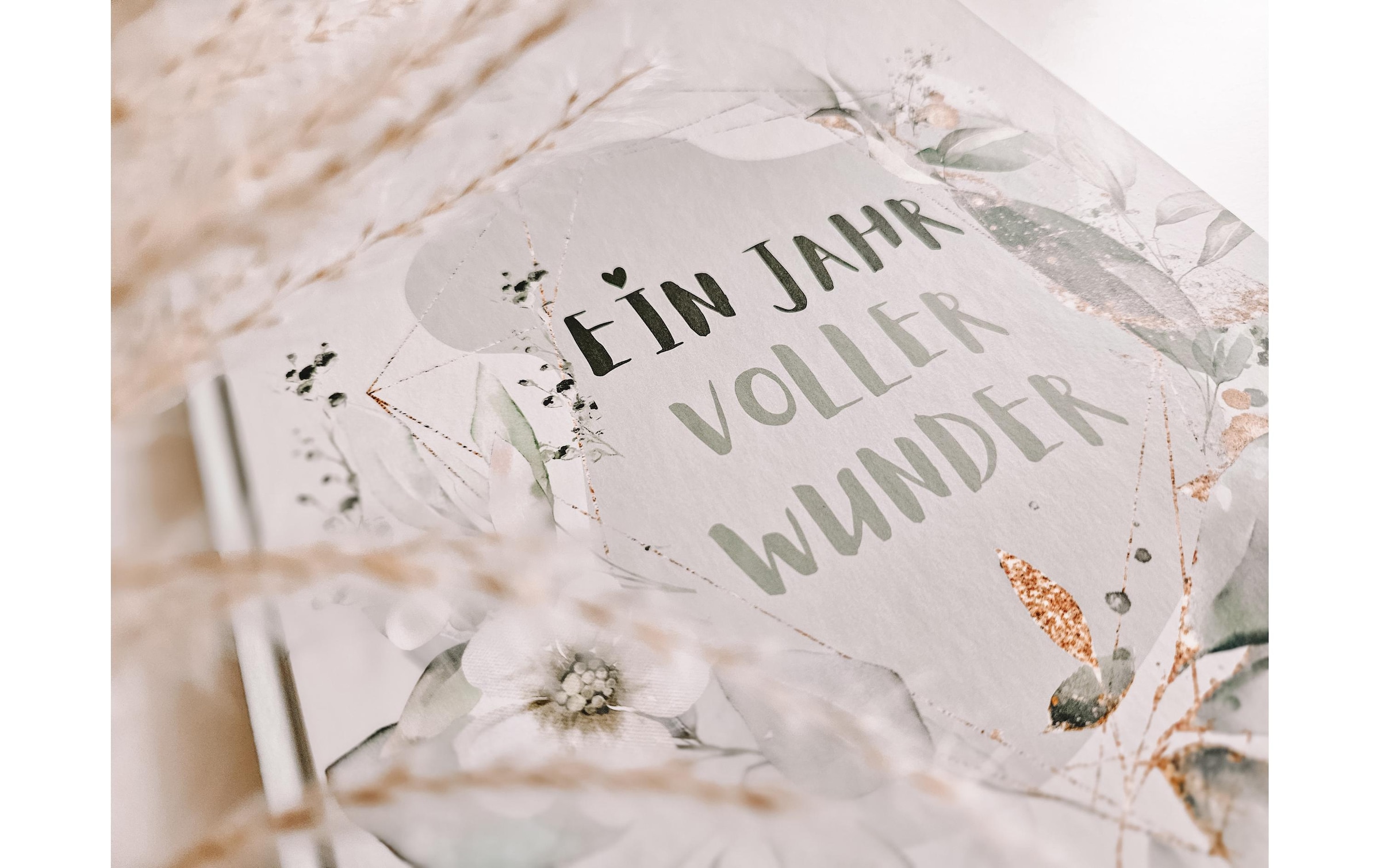   Buch »Eulentaler Pflanzen«