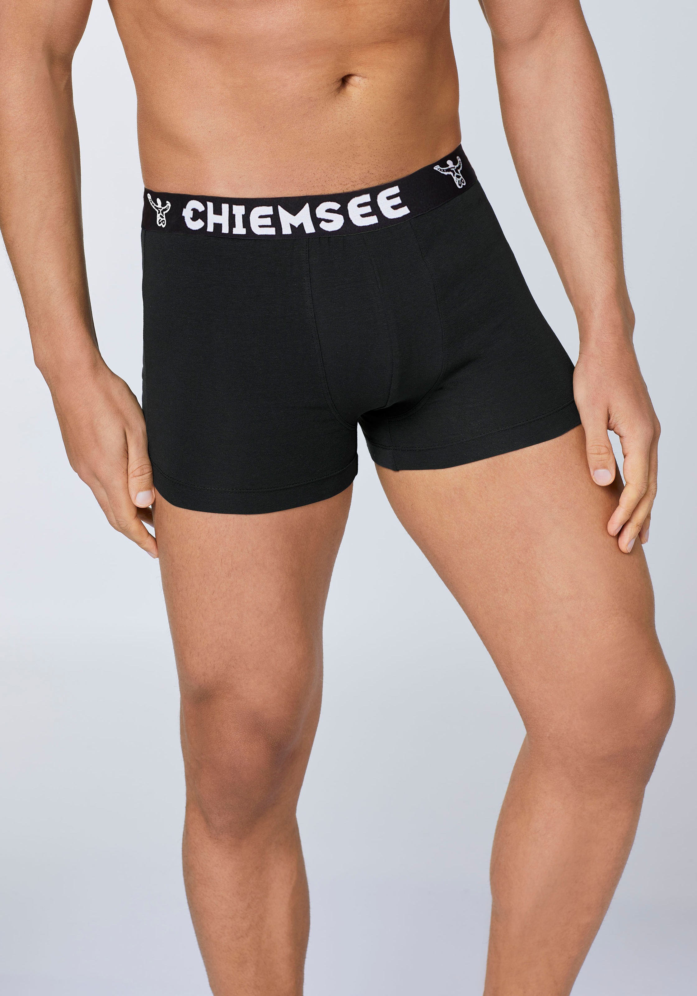 Chiemsee Boxershorts »3er Pack« Packung, 3, 