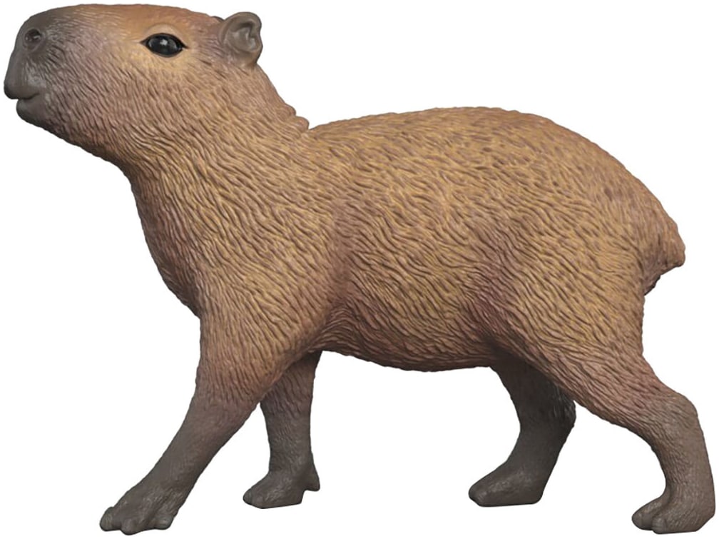 Schleich® Personnage de jeu »WILD LIFE, Capybara (14934)«