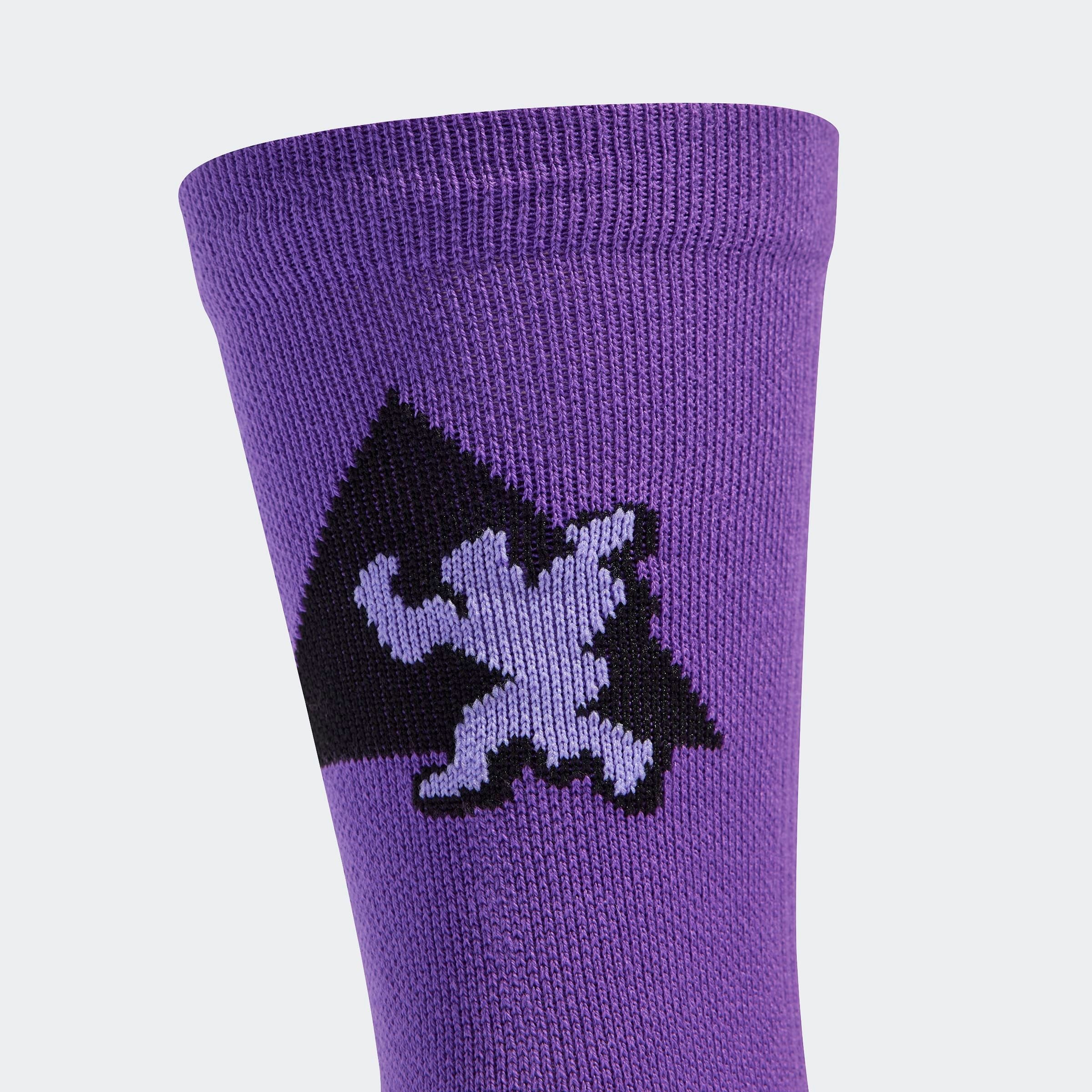 adidas Performance Funktionssocken »PRIDE 2PP SO«