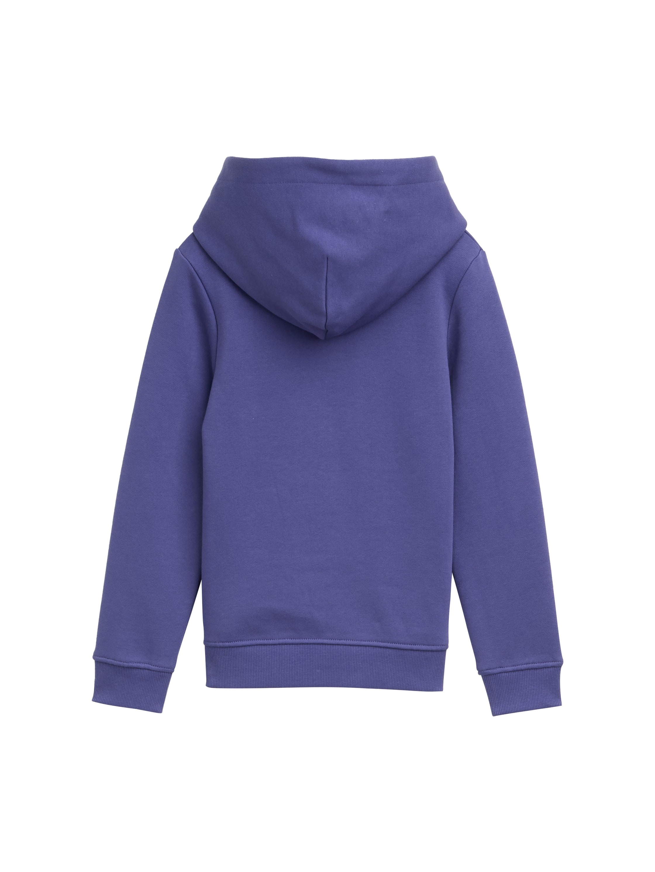 TOM TAILOR Hoodie , mit Kapuze
