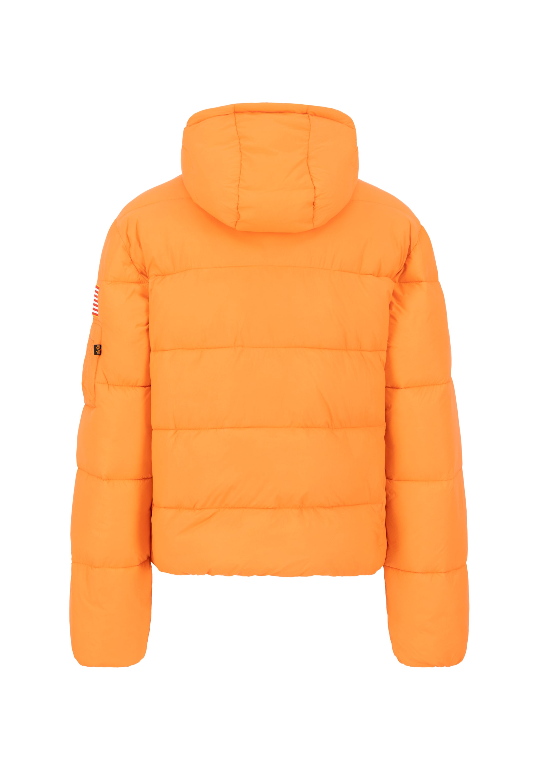 Alpha Industries Veste d'hiver »HP NASA Jacket«