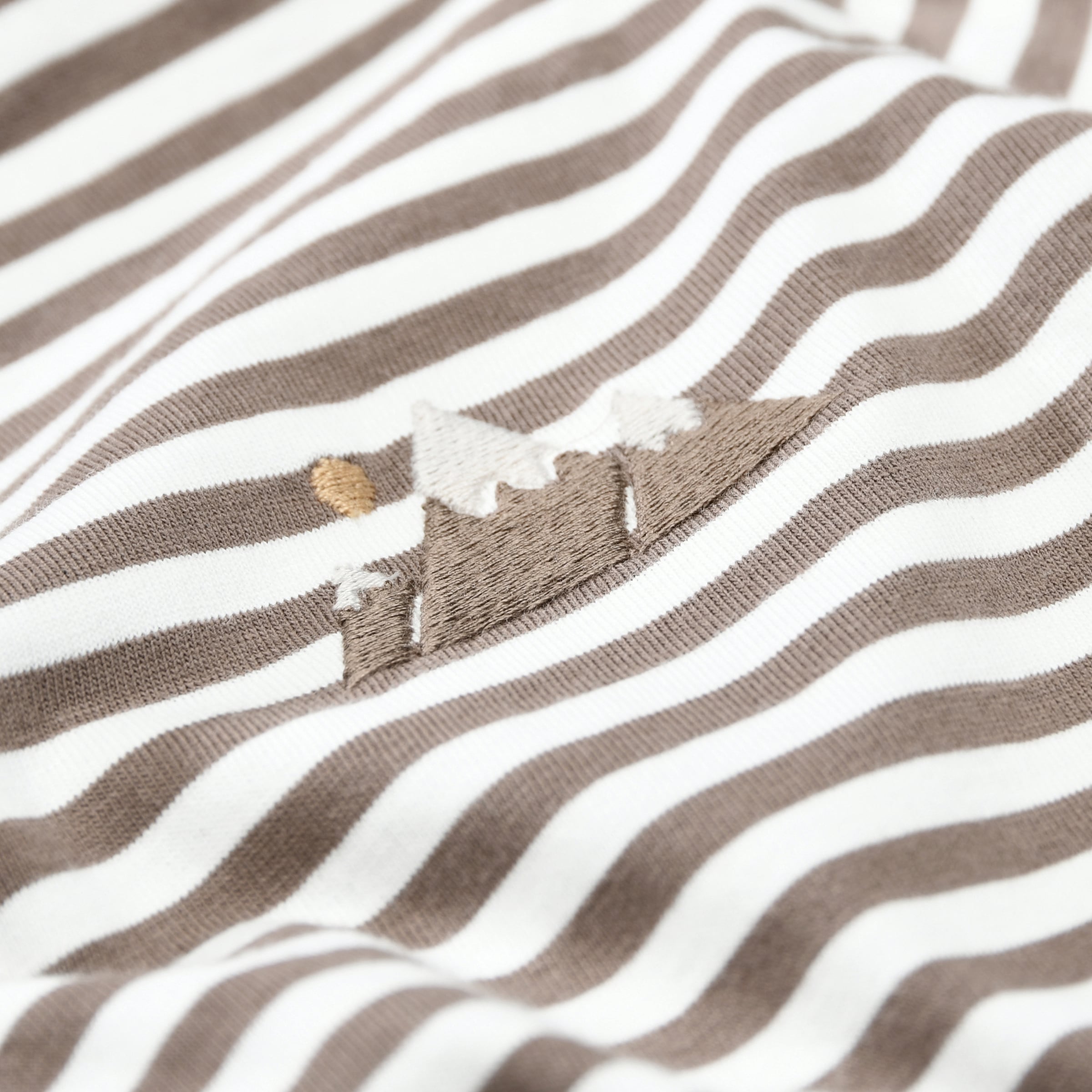 STACCATO T-shirt à manches longues Paquet, 2 lot de 2 / rayé-imprimé / pour garçons