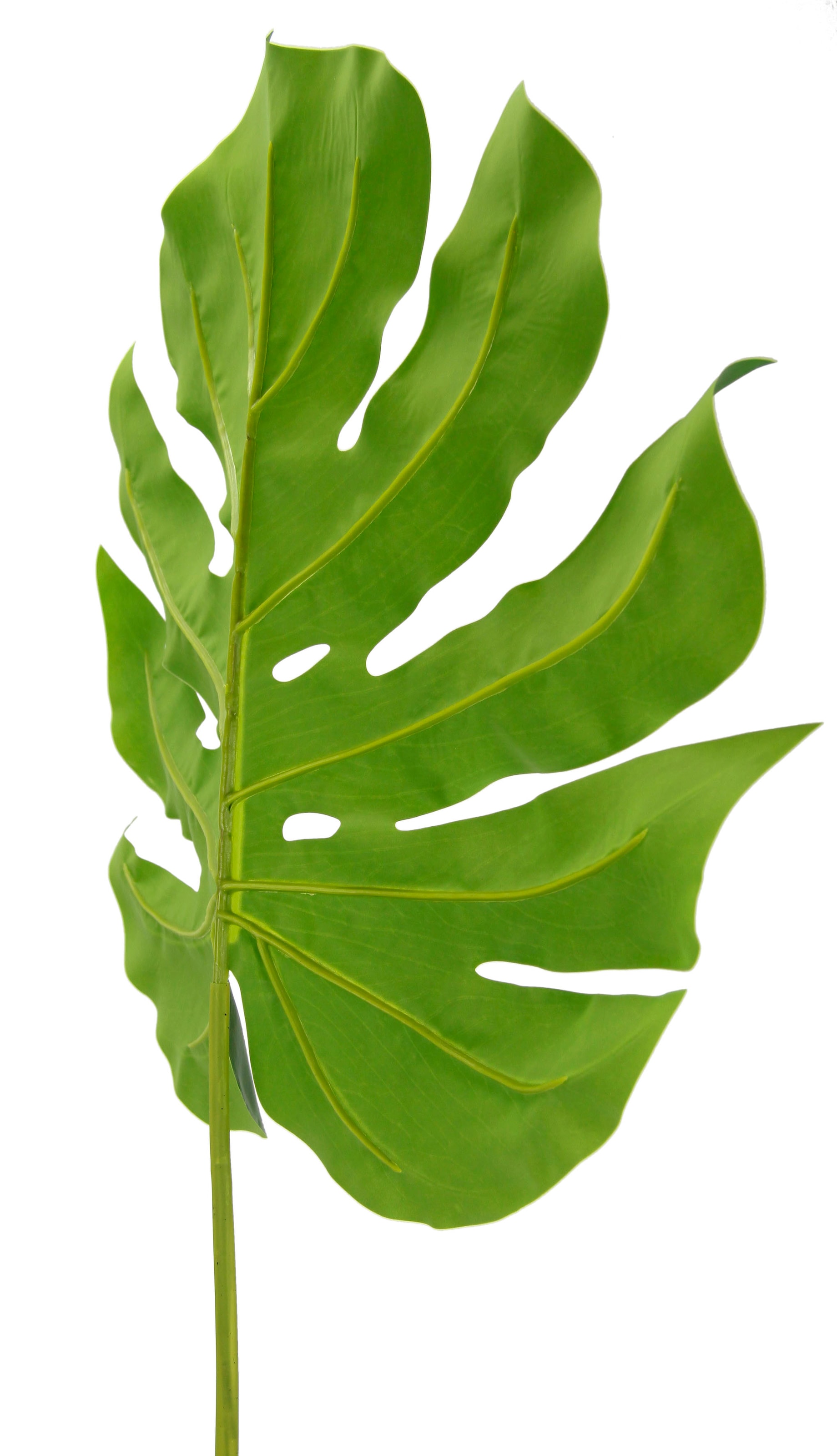 I.GE.A. Plante artificielle »Splitphiloblatt« Monstera, Kunstzweig, 5er Set