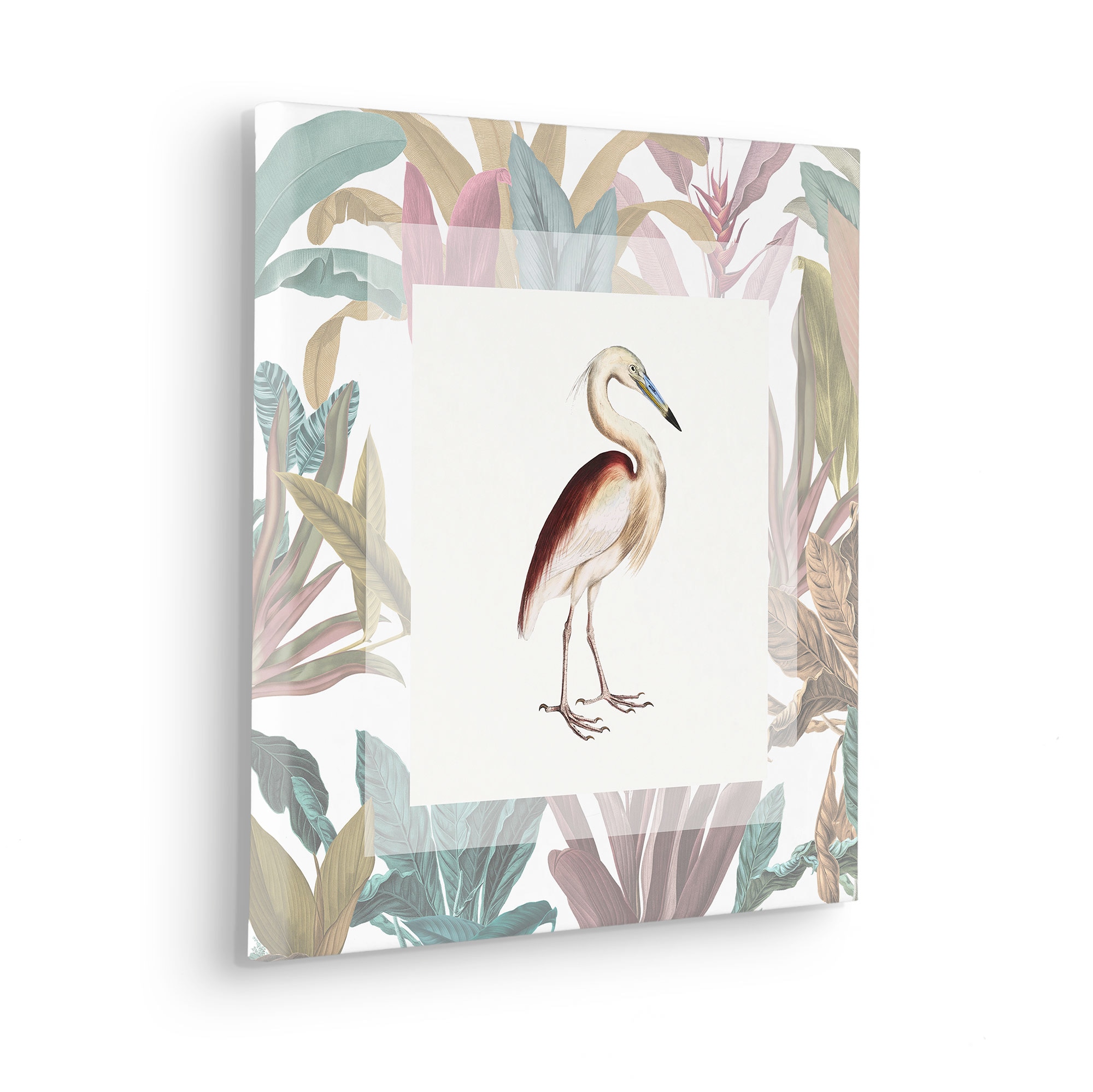 Komar Tableau sur toile »Uncommon Bird - Grösse 40 x 40 cm« 1 cuis tlg. Keilrahmenbild mi Echtholzrahmen