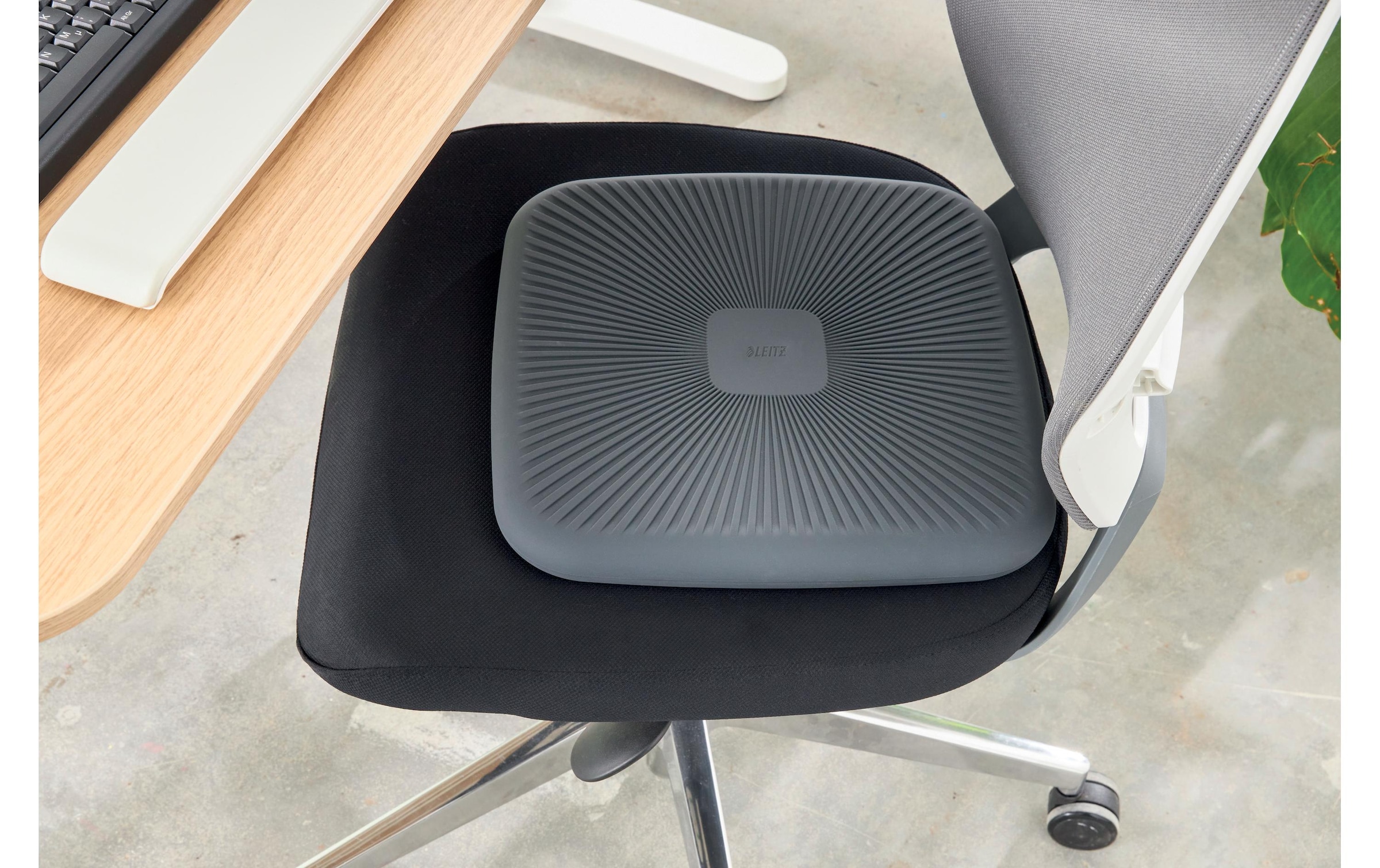 LEITZ Coussin d'équilibre »Ergo Active«