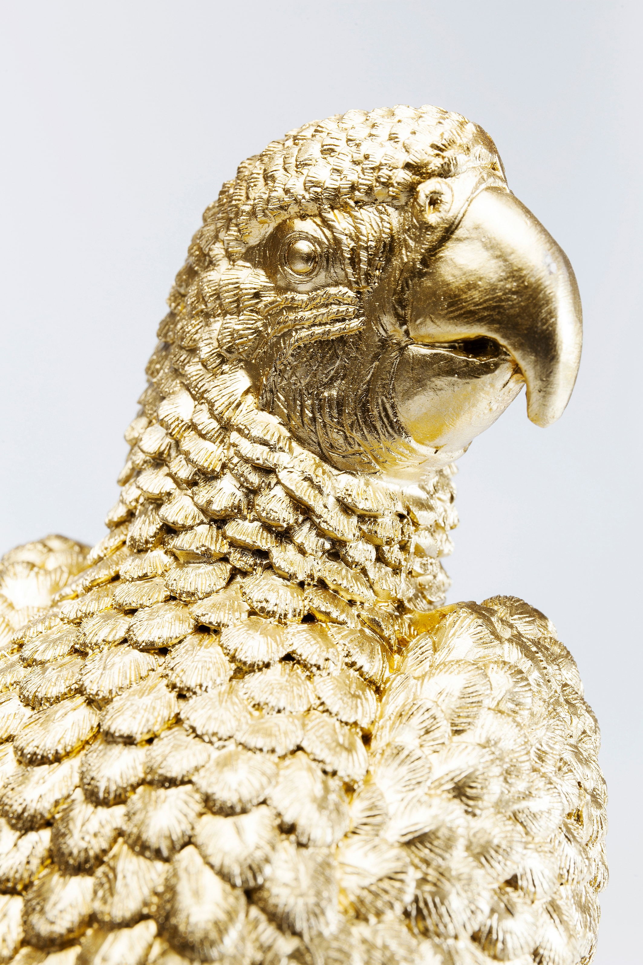 Kare Design Boîte de rangement »Deko Dose Parrot 40cm«