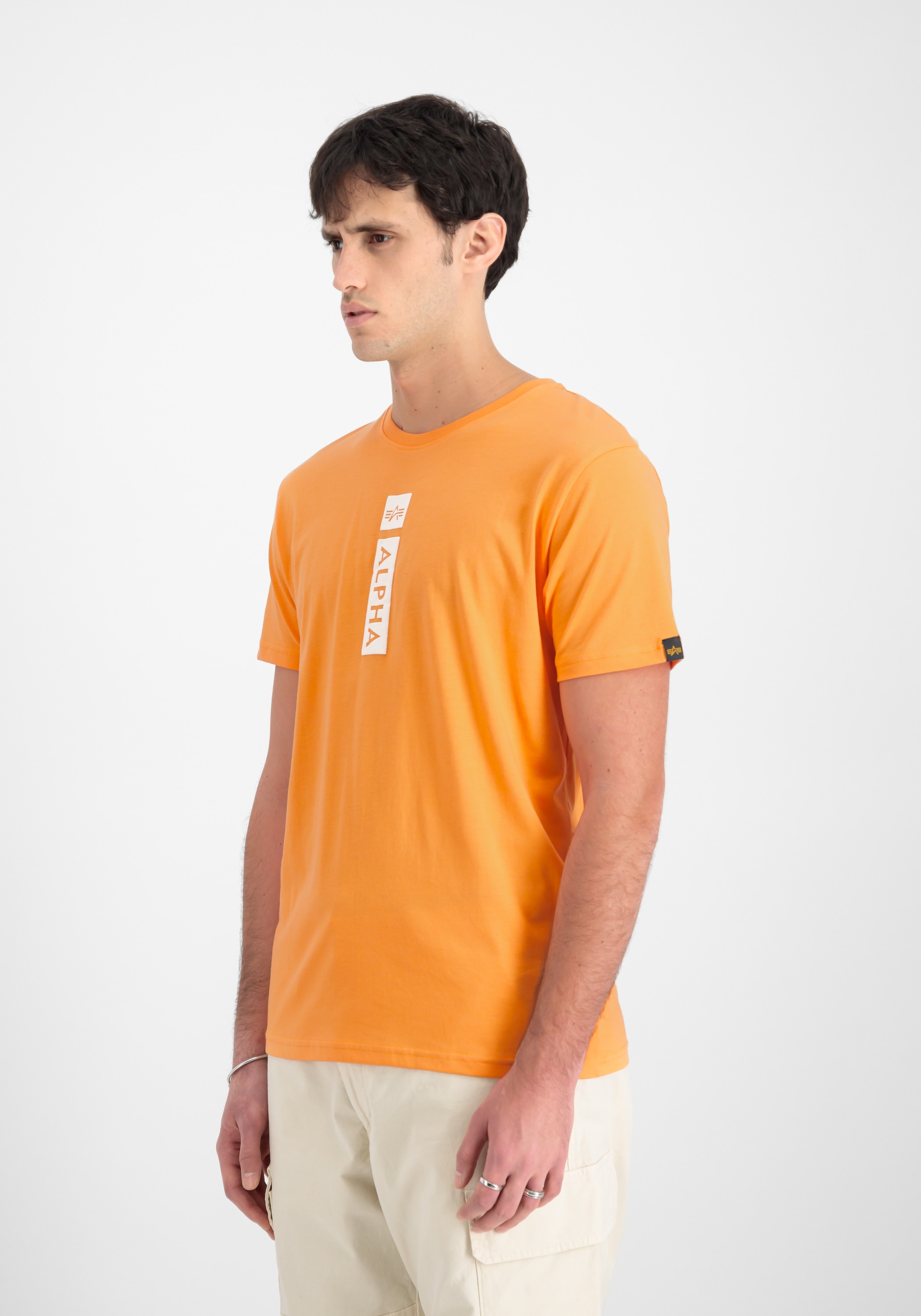 Alpha Industries T-shirt »Alpha Puff Print T-Shirt«