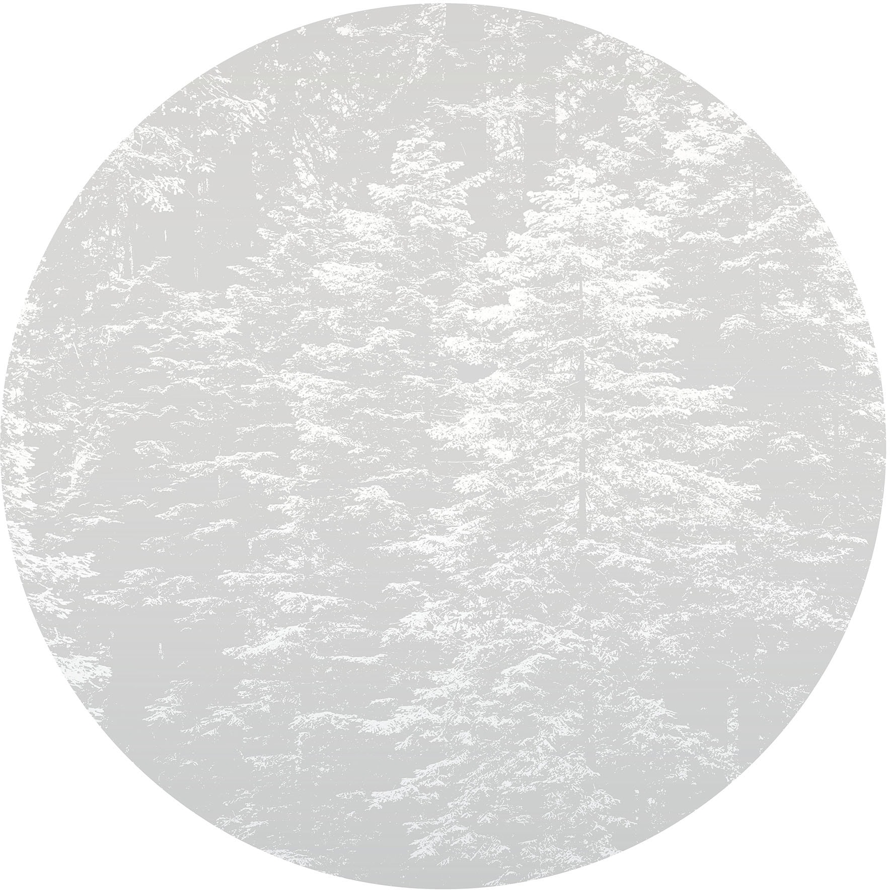 Fashion for walls Papier peint photo »Hazy Pines« entretenu | floral lisse sans phtalates