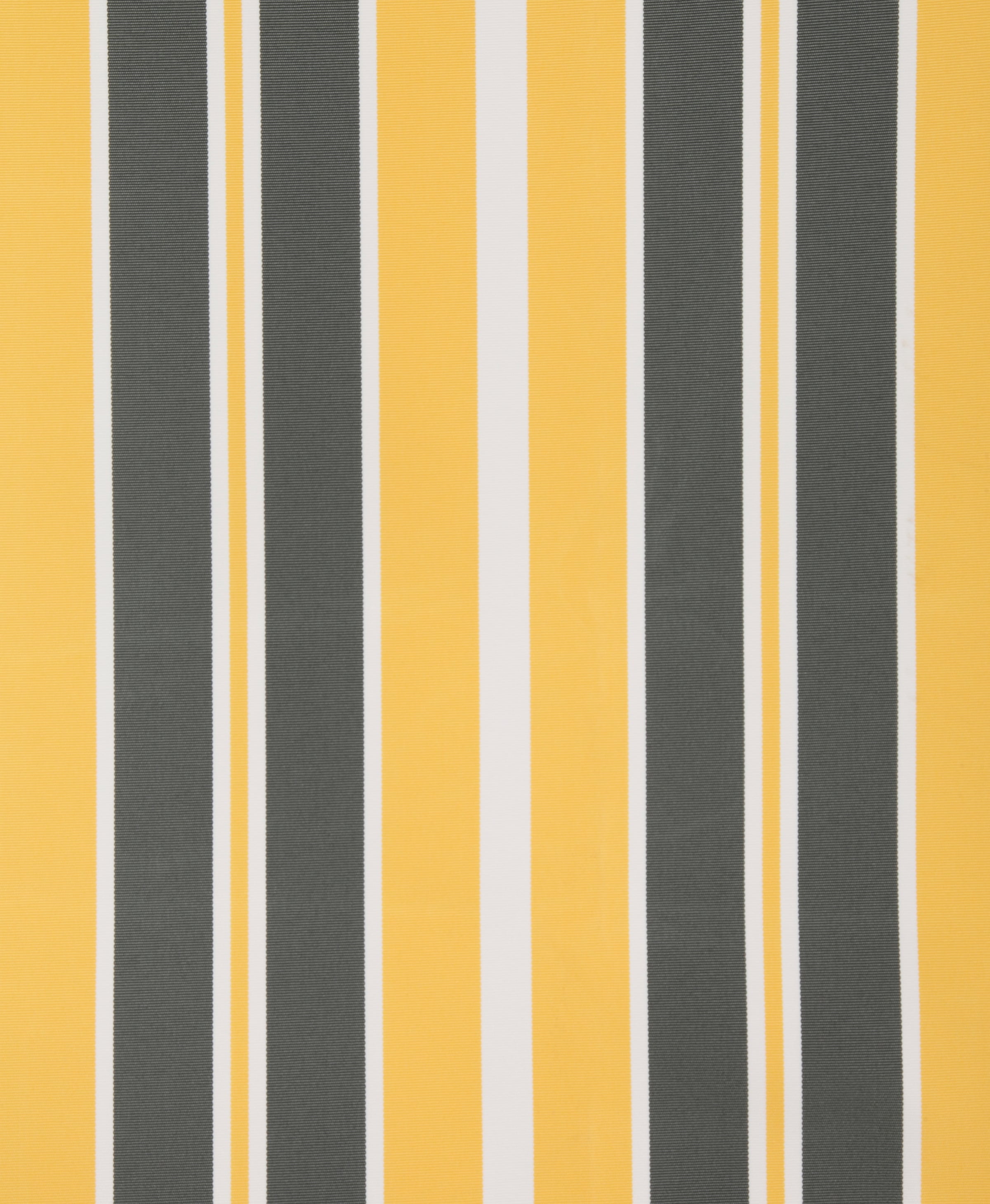 KONIFERA Store à pince Breite/Ausfall: 250/150 cm