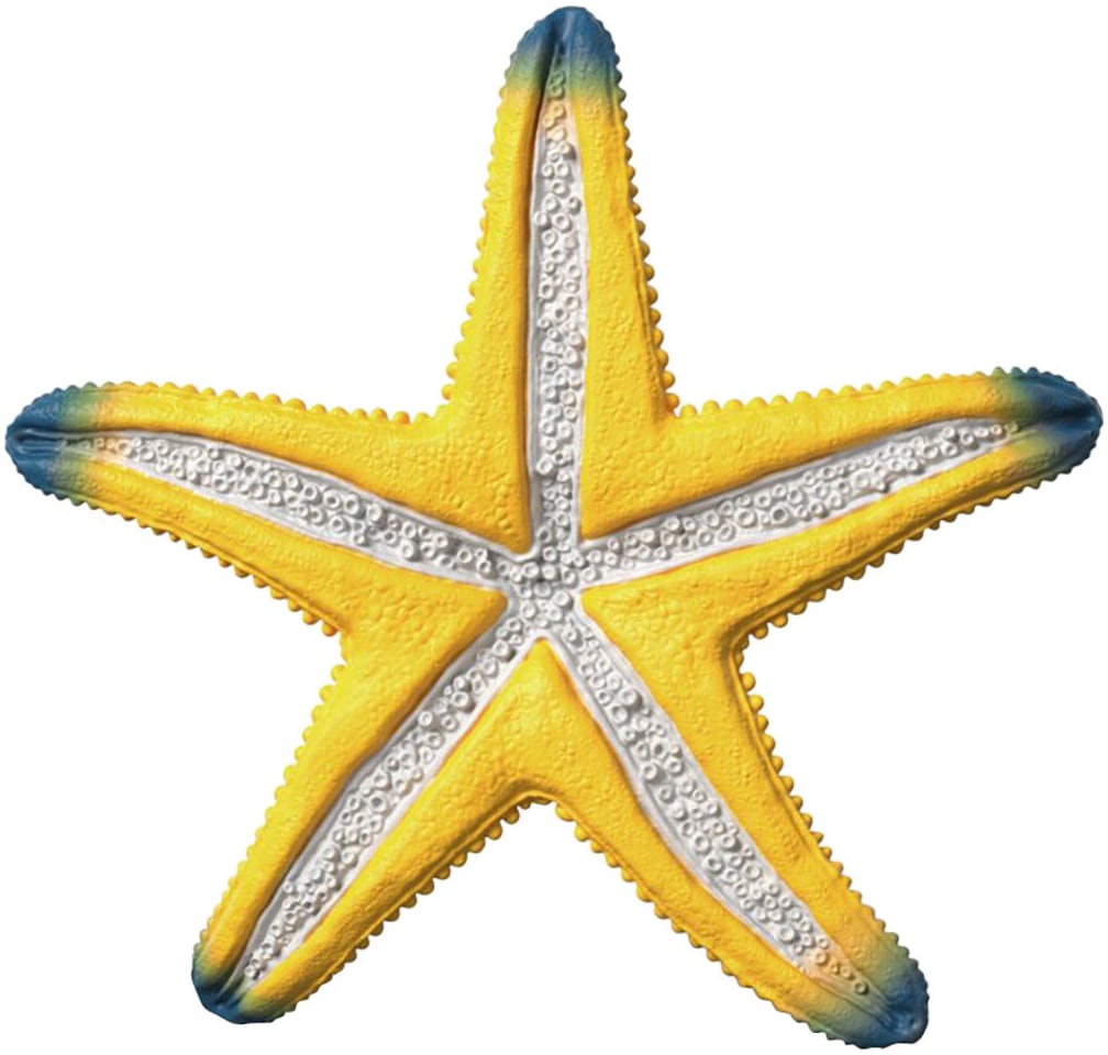 Schleich® Personnage de jeu »WILD LIFE, Seestern (14902)« mit Farbwechsel