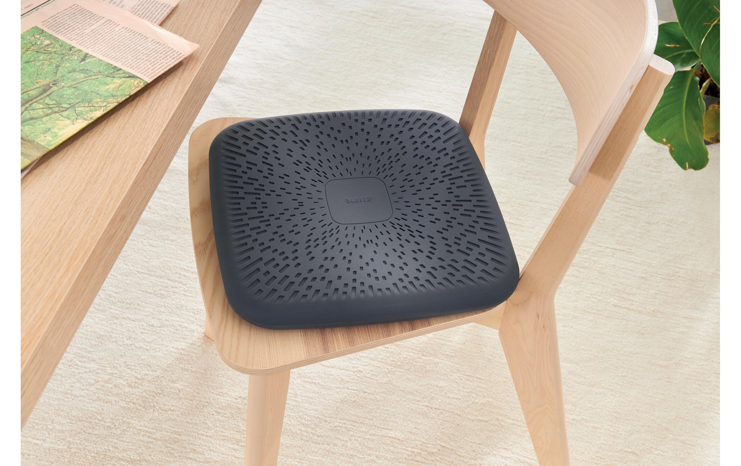 LEITZ Coussin d'équilibre »Ergo Active«