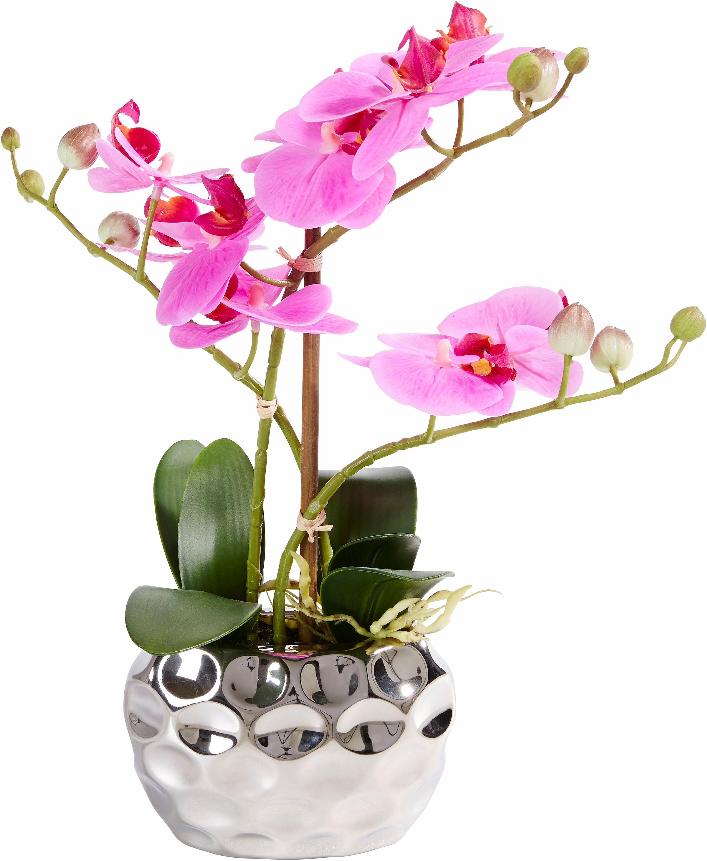 Leonique Plante artificielle »Orchidee« Kunstorchidee, im Topf, Bestseller, über 2500 4,5-Sterne-Bewertungen