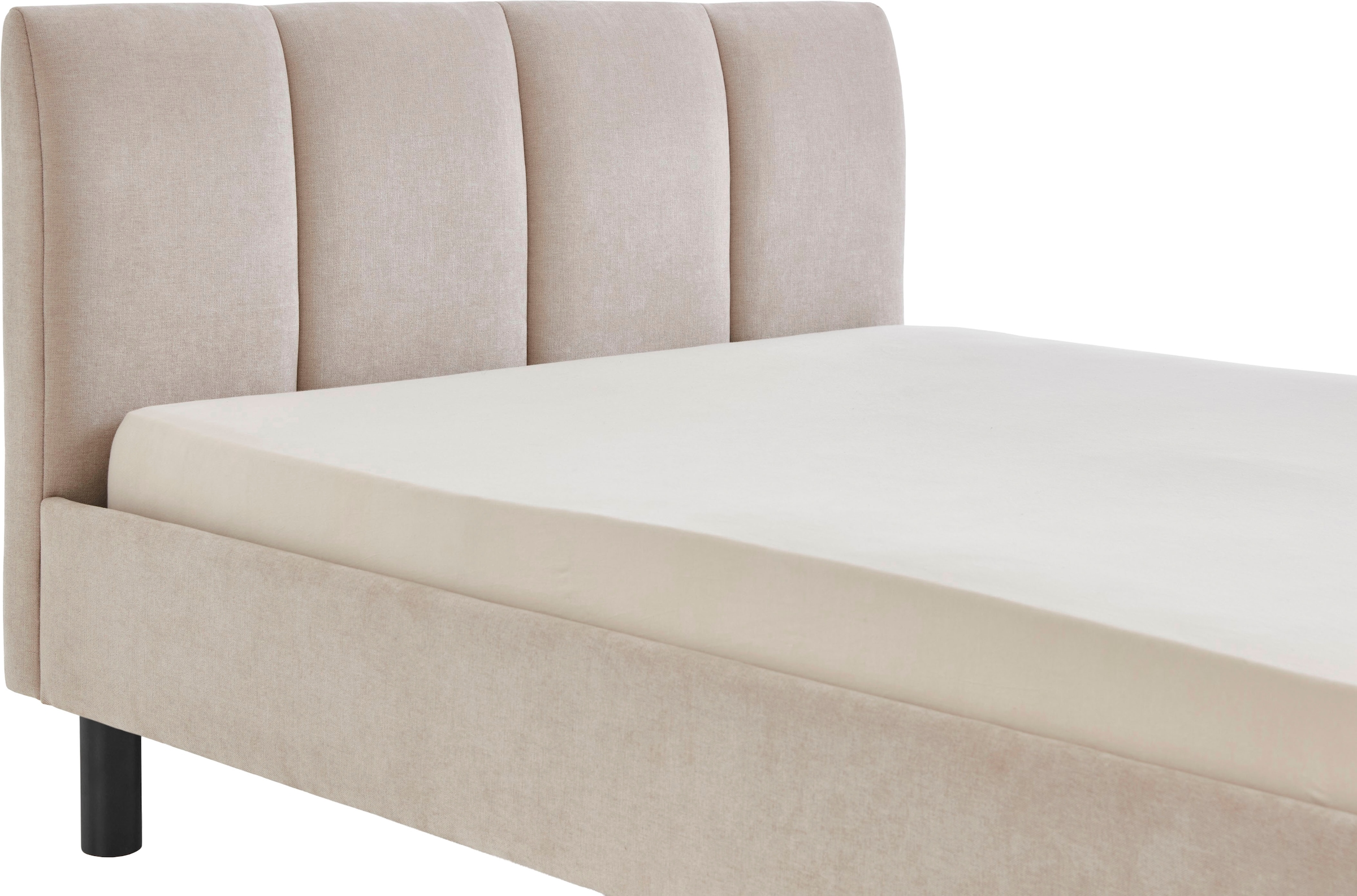 meise.möbel Polsterbett »Joker, in verschiedenen Breiten und Farben erhältlich« wahlweise mit schwarzem oder eichefarbigem Holzfuss