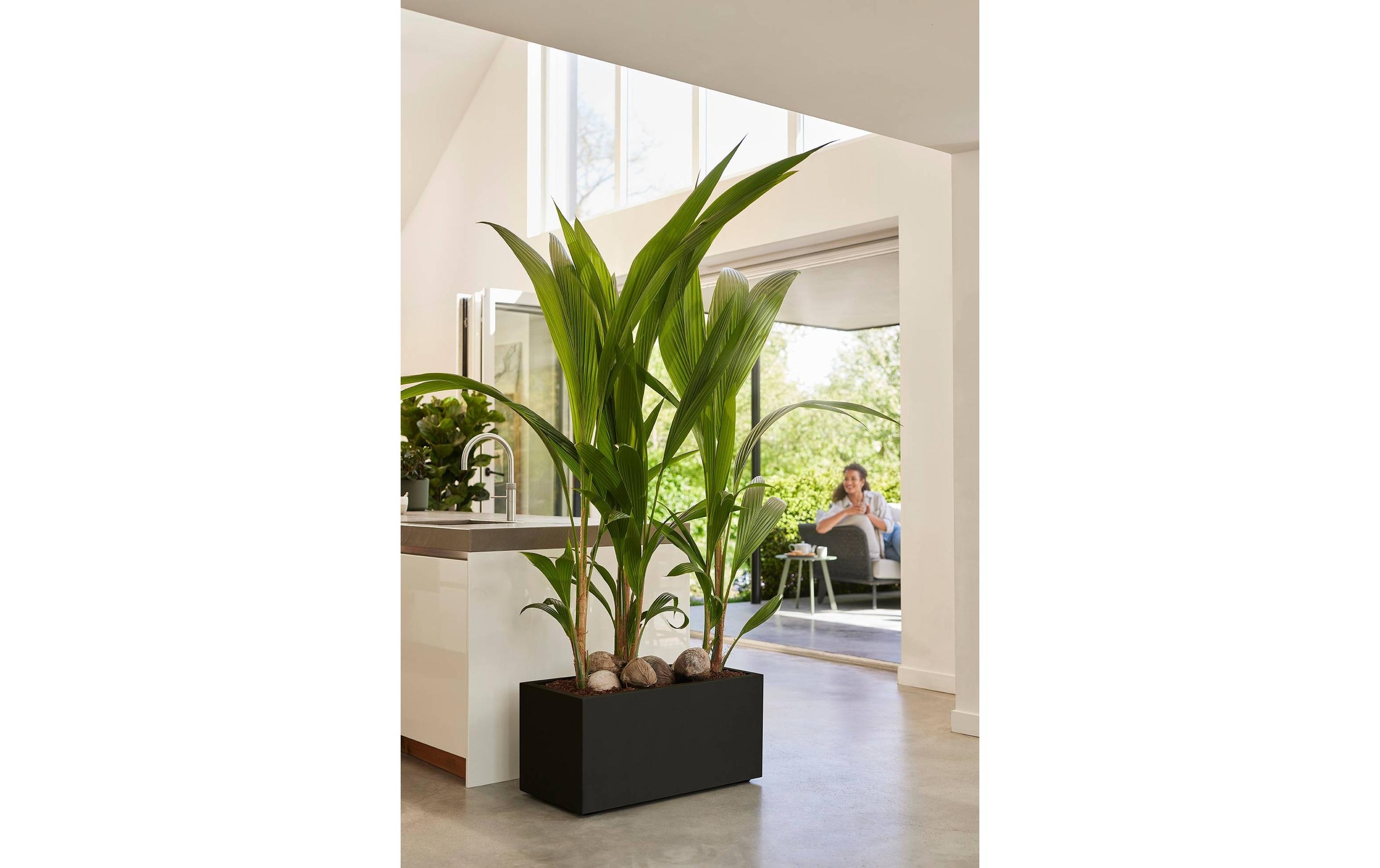 Elho Pot de fleurs »Vivo Next Lang 80 cm«