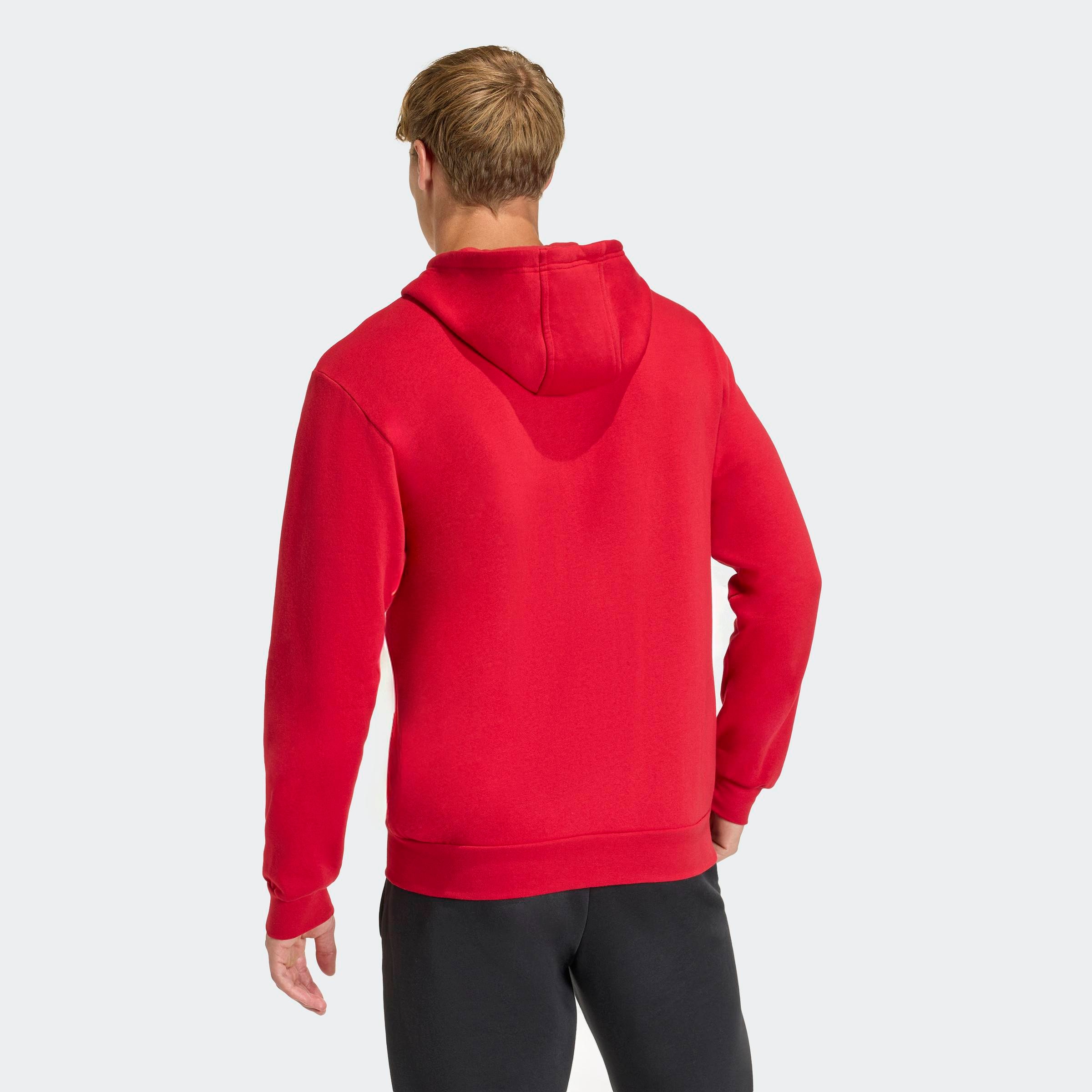 adidas Performance Sweat à capuche »ENTRADA26«
