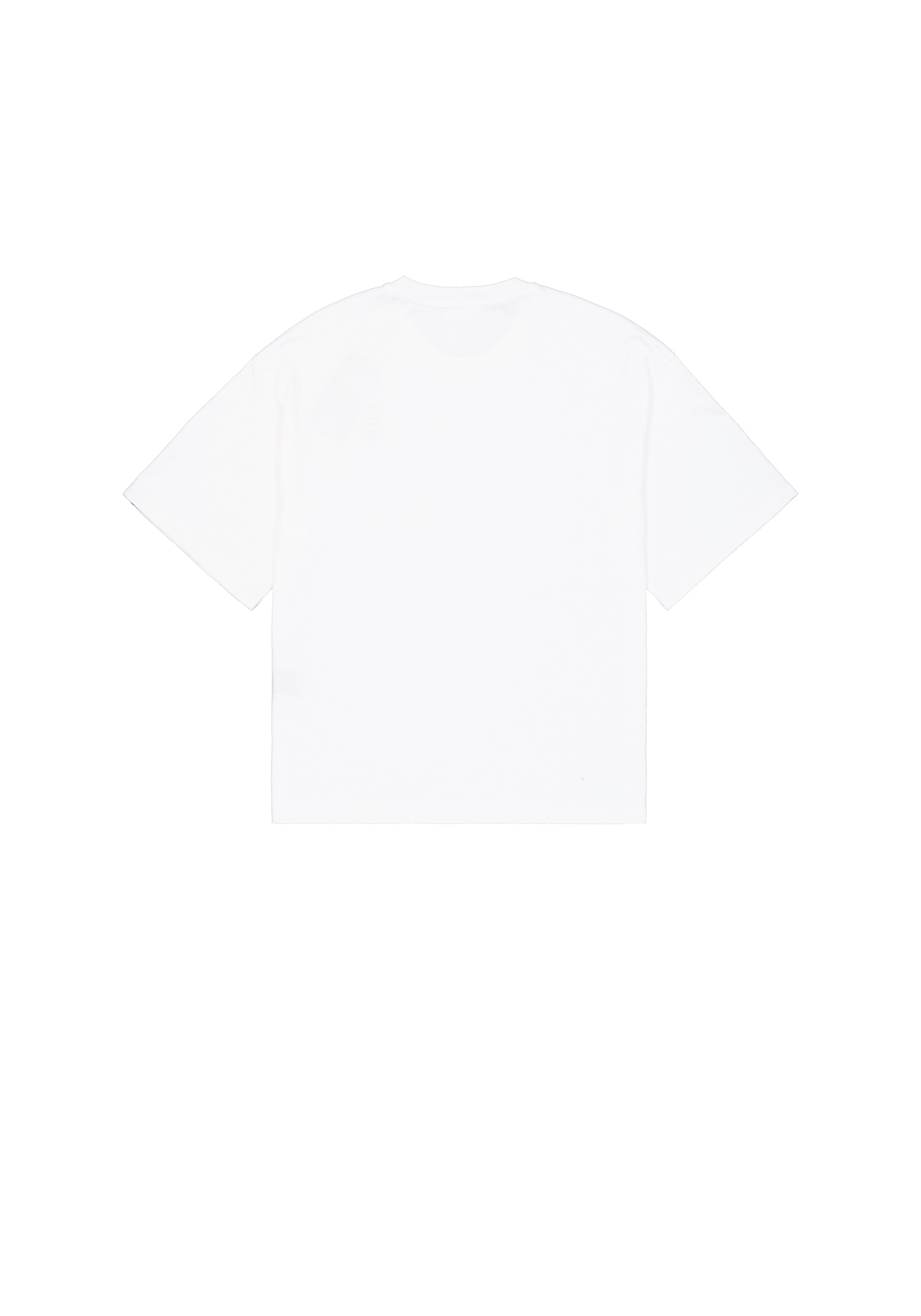 Alpha Industries T-Shirt »Studio Edition T-Shirt«
