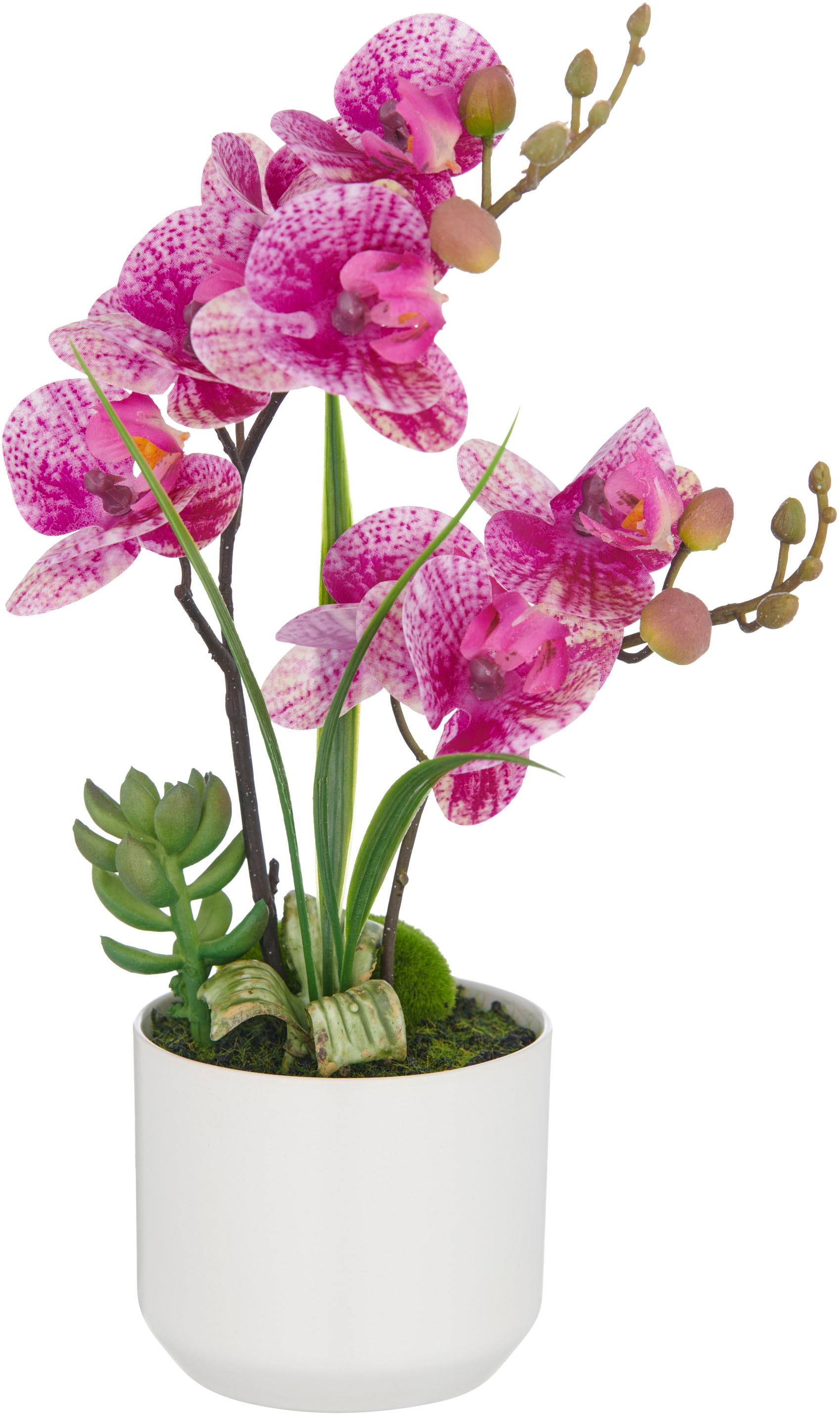 Creativ green Orchidée artificielle »Orchidee Phalaenopsis« mit real-touch-Blüten