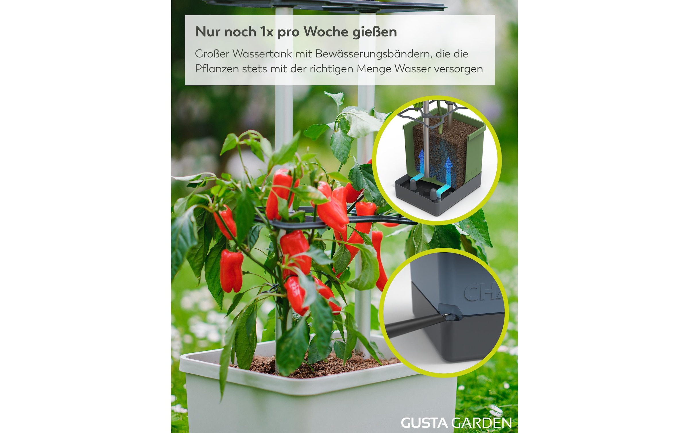 Gusta Garden Anzuchttopf »Charly Chili XL«