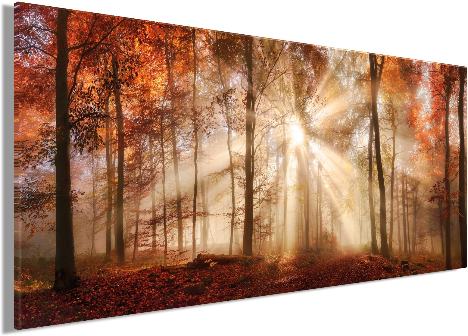 Bönninghoff Bild »Wandbild HERBSTWALD XXL 90x200 cm – Leinwandbild Keilrahmen Deko« Sonnenaufgang & -untergang | Wald | Waldbilder auf Keilrahmen gespannt