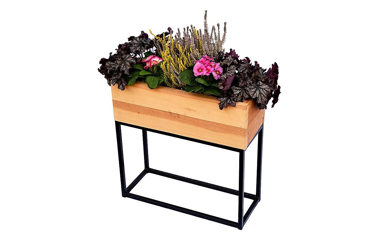 Innovesta Lit surélevé »mit Untergestell 50 x 20 x 50 cm«