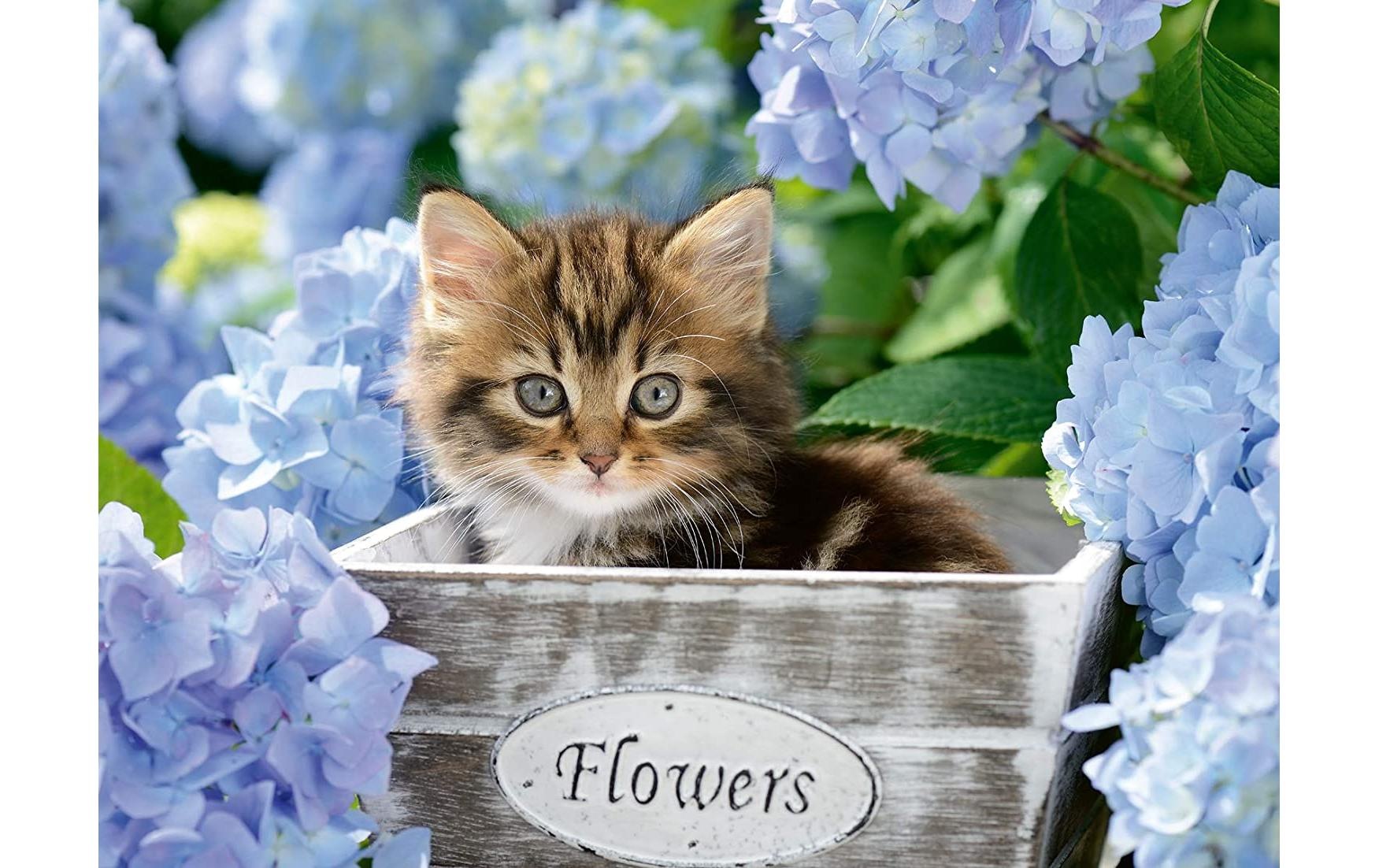 Ravensburger Puzzle »Puzzle Kleine Katze«