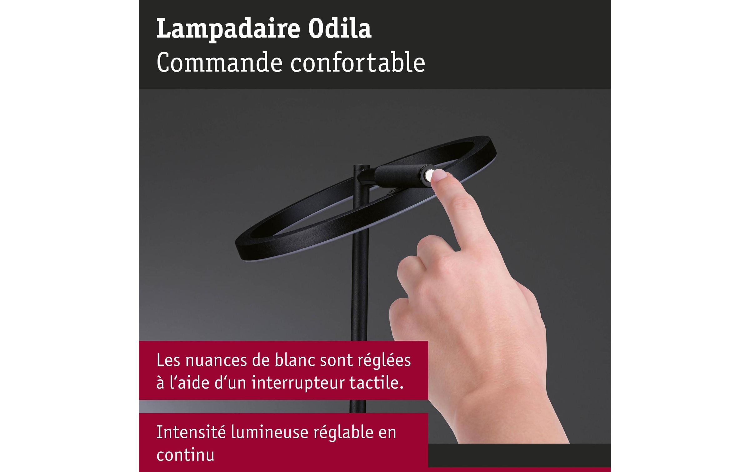 Paulmann Lampadaire à LED »Stehleuchte Odila, Schwarz matt« Module LED blanc chaud - blanc froid