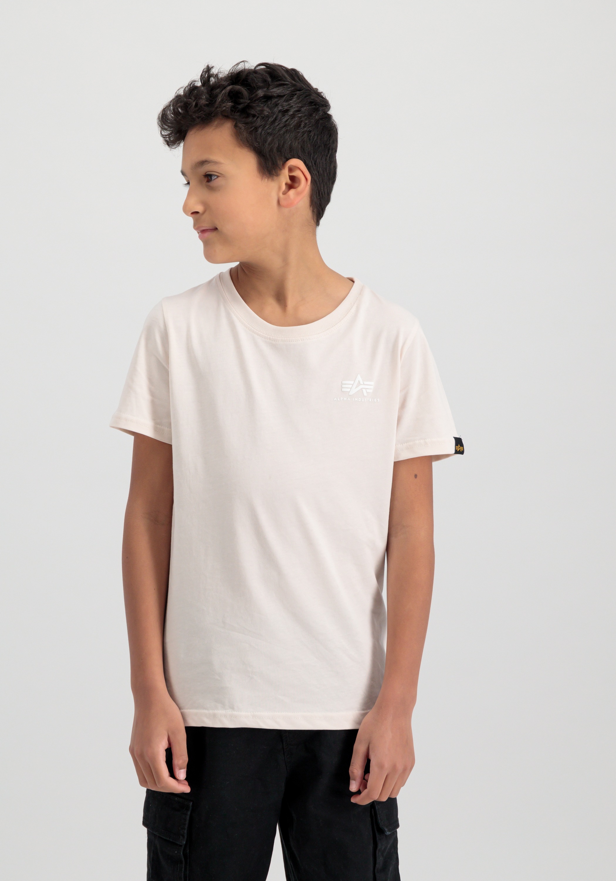 Alpha Industries T-Shirt »Basic T-Shirt SL K«