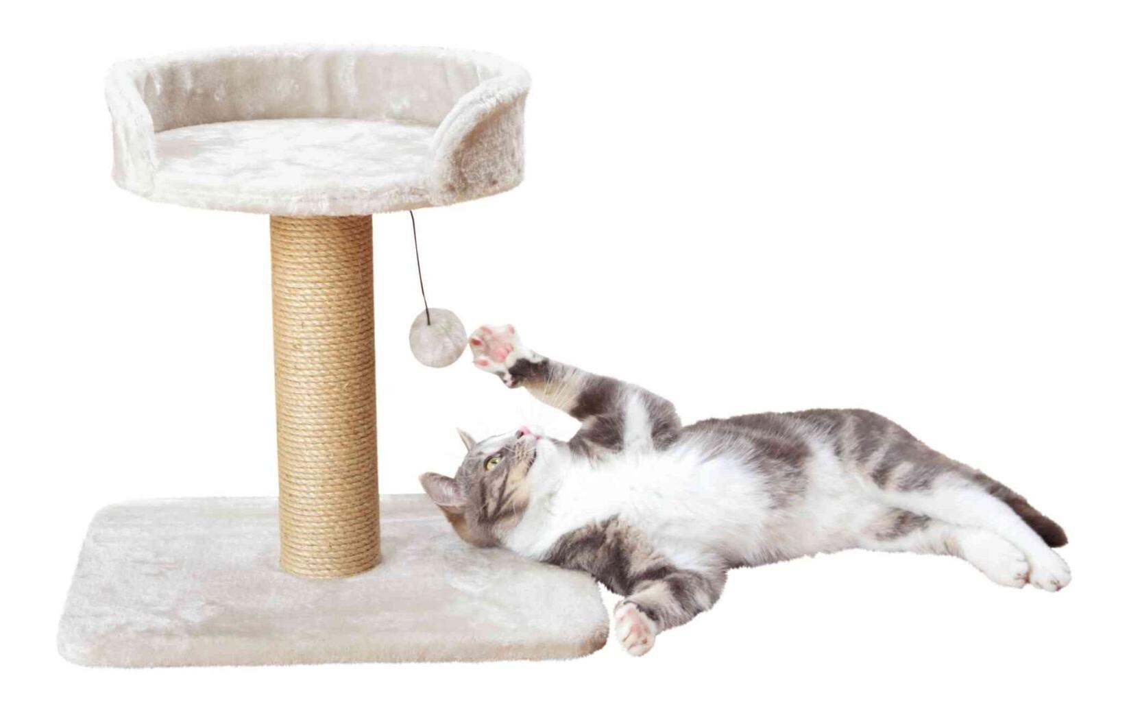 TRIXIE Arbre à chat »Mica 46 cm« 46 cm hoch Bord surélevé, avec cordon, doux et moelleux