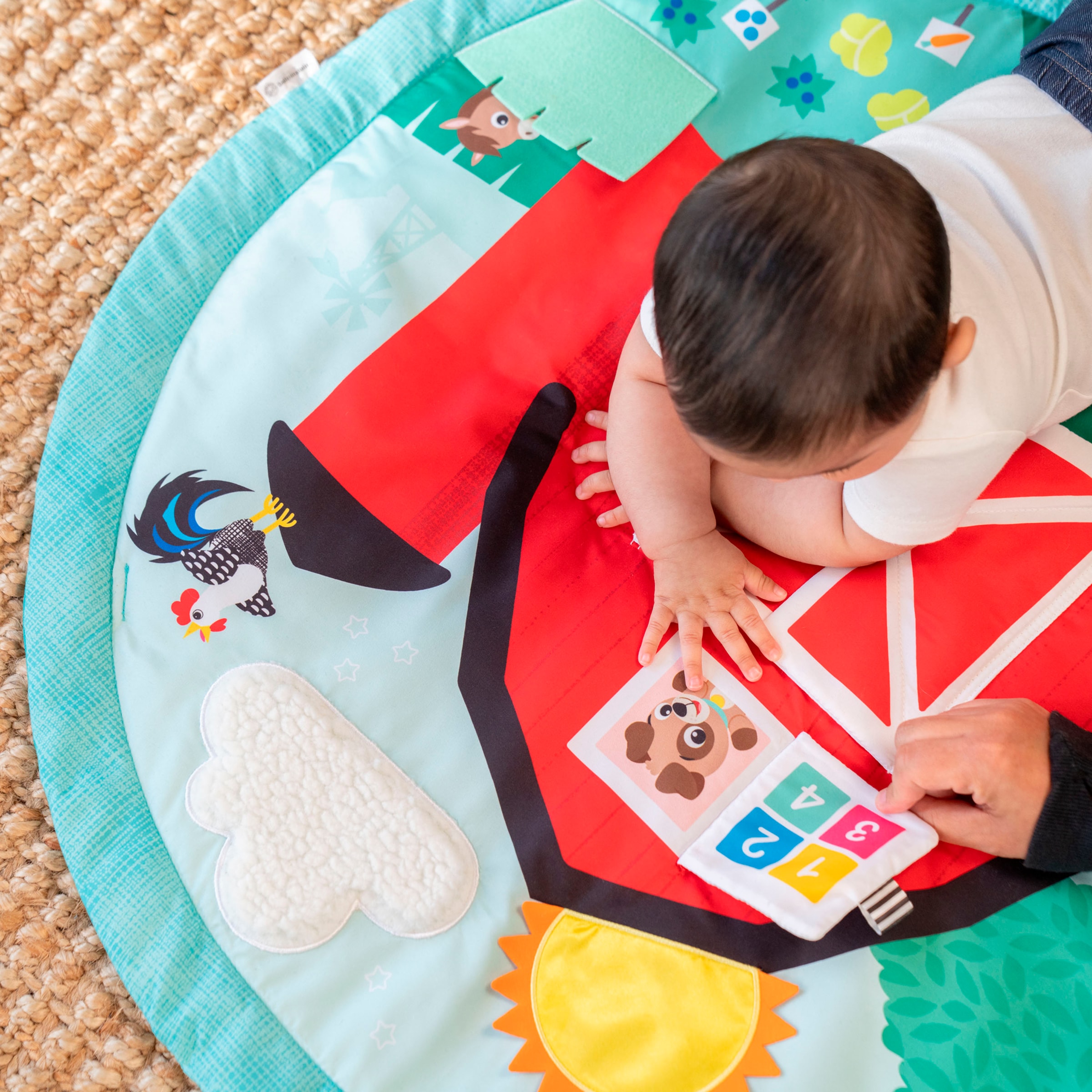 Baby Einstein Spielbogen »Happy Harvest Touch & Feel Activity Gym« mit Soundeffekt