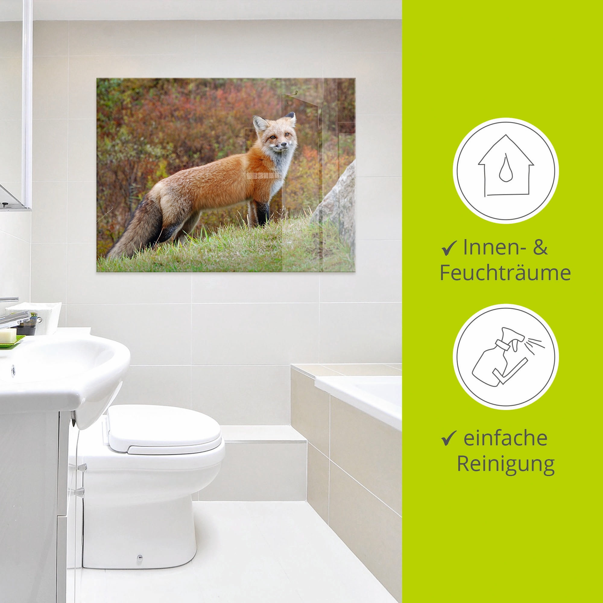 Artland Tableau en verre »Fuchs I« 1 cuis tlg. in verschiedenen Grössen