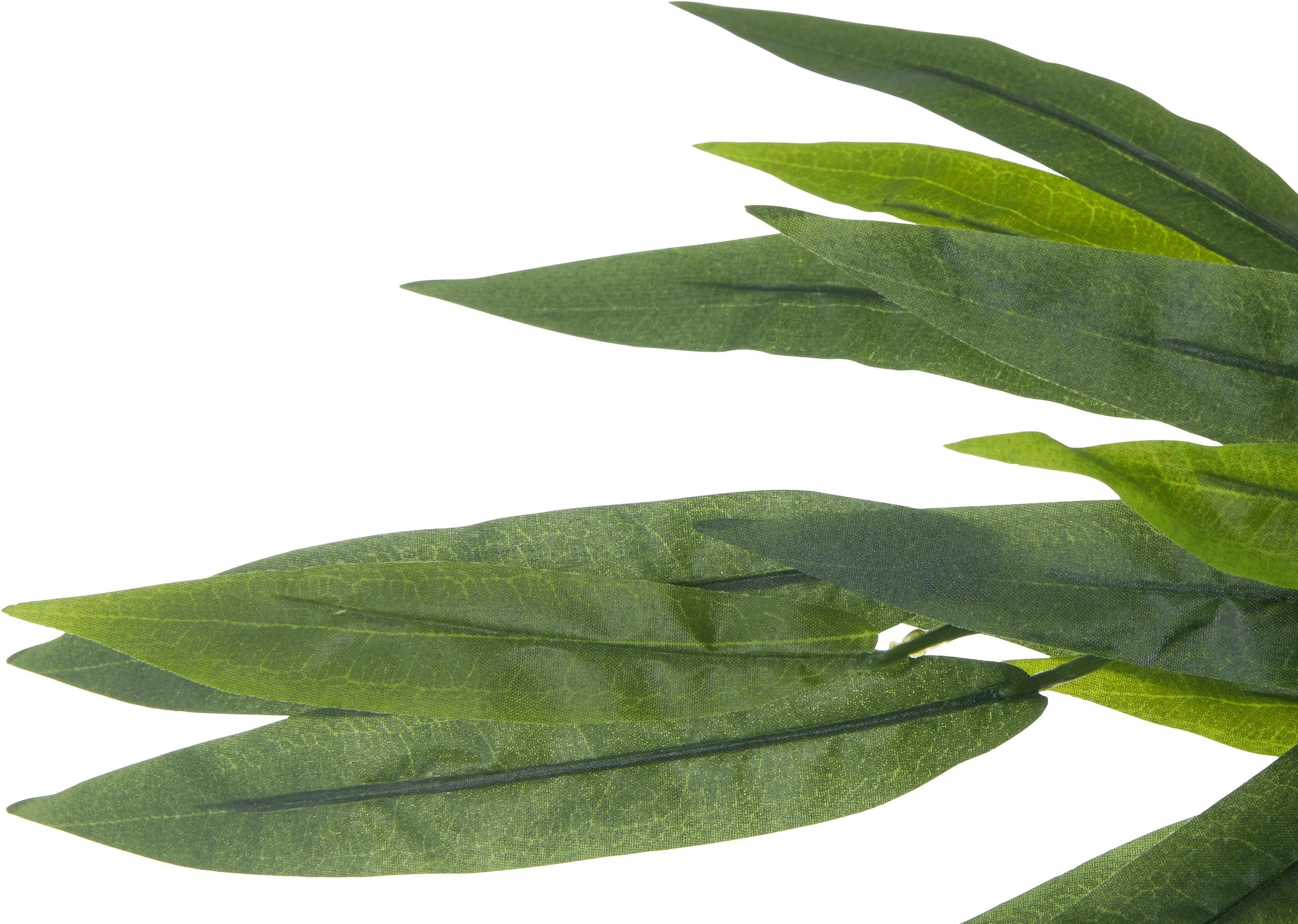 Creativ green Kunstpflanze »Weeping-Ficus«