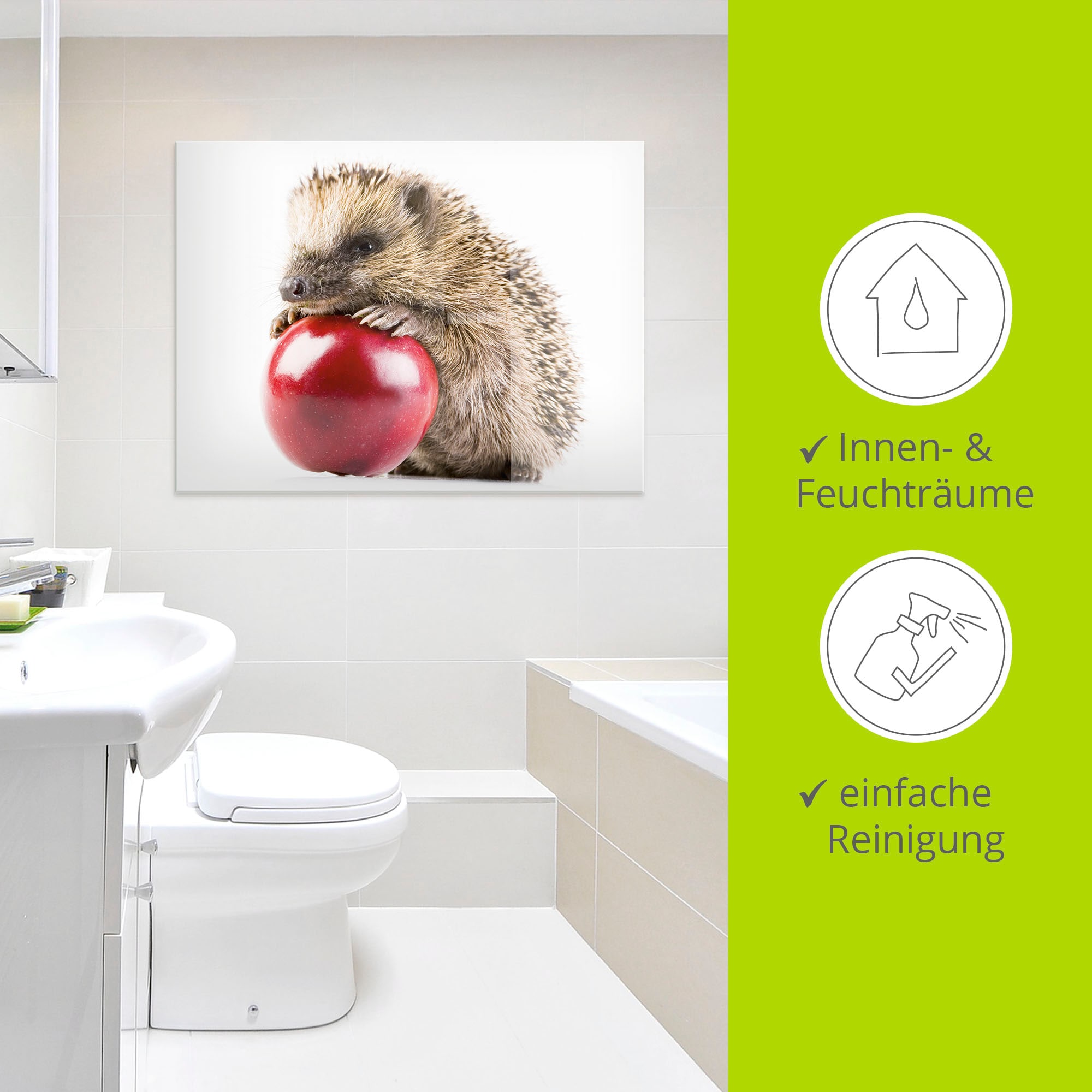 Artland Glasbild »Glücklicher Igel« Wildtiere 1 Stk. tlg. in verschiedenen Grössen