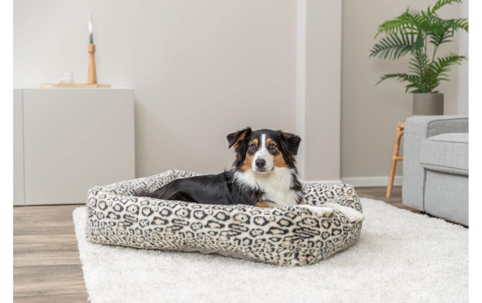 TRIXIE Hundebett »Leo 80 x 60 cm«