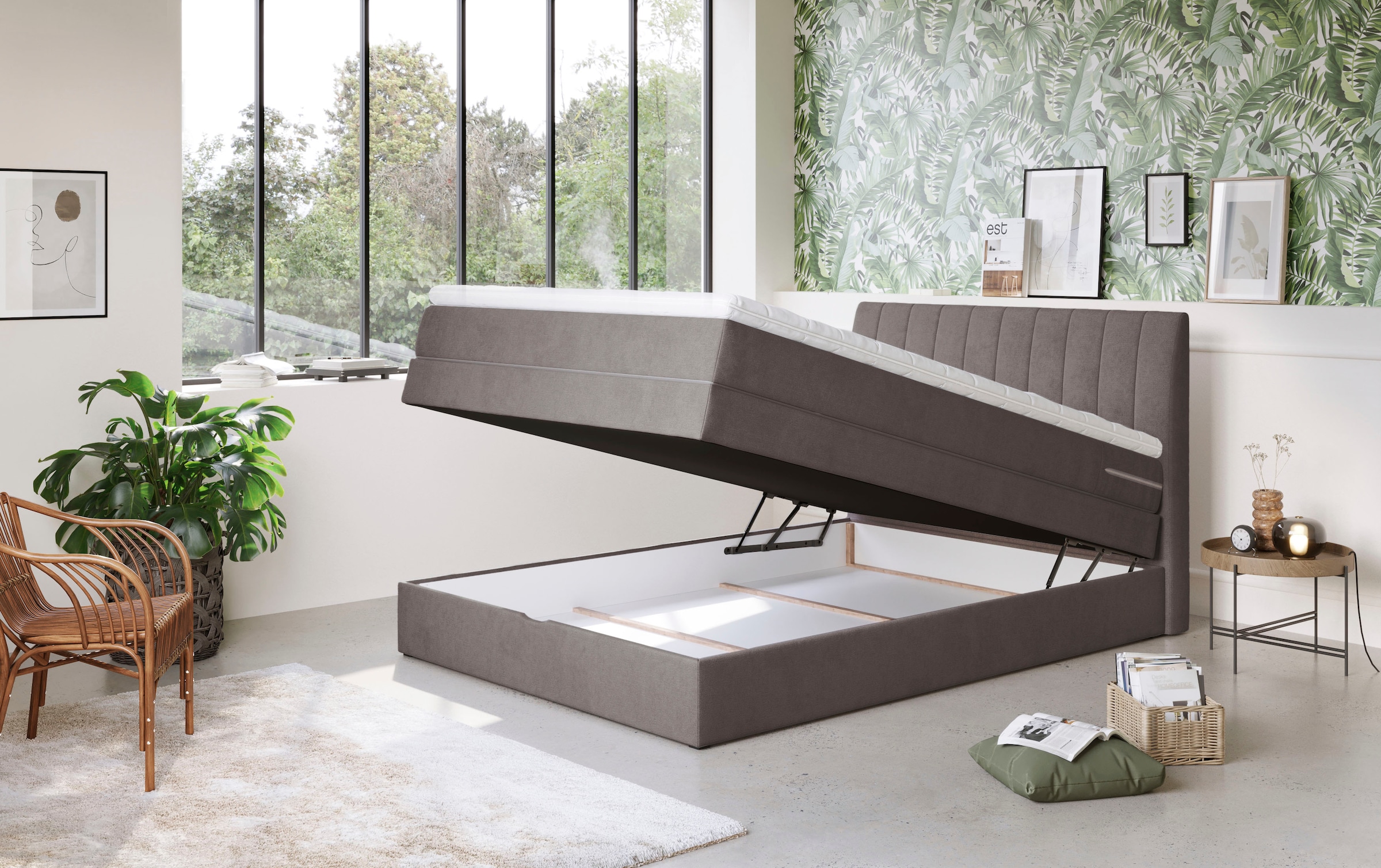 COTTA Lit boxspring »Shark inkl. Bettkasten und Topper« disponible en largeurs 140x200cm, 160x200cm et 180x200cm