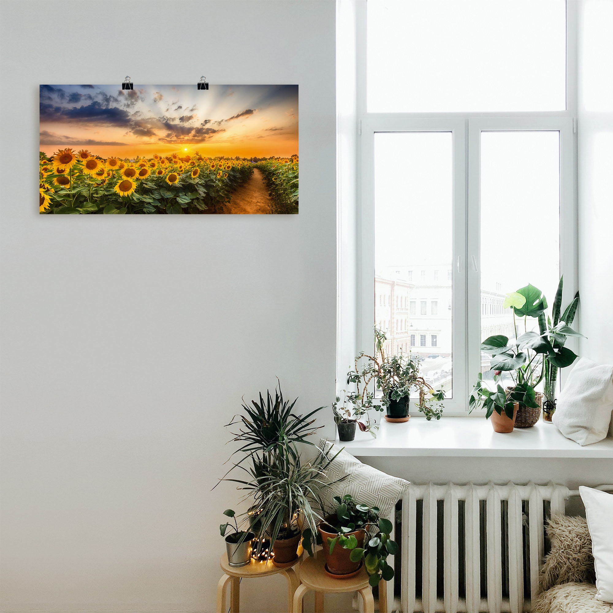 Artland Fresque murale »Sonnenblumenfeld bei Sonnenuntergang« 1 cuis tlg. als Alubild, Leinwandbild, Poster in verschied. Grössen