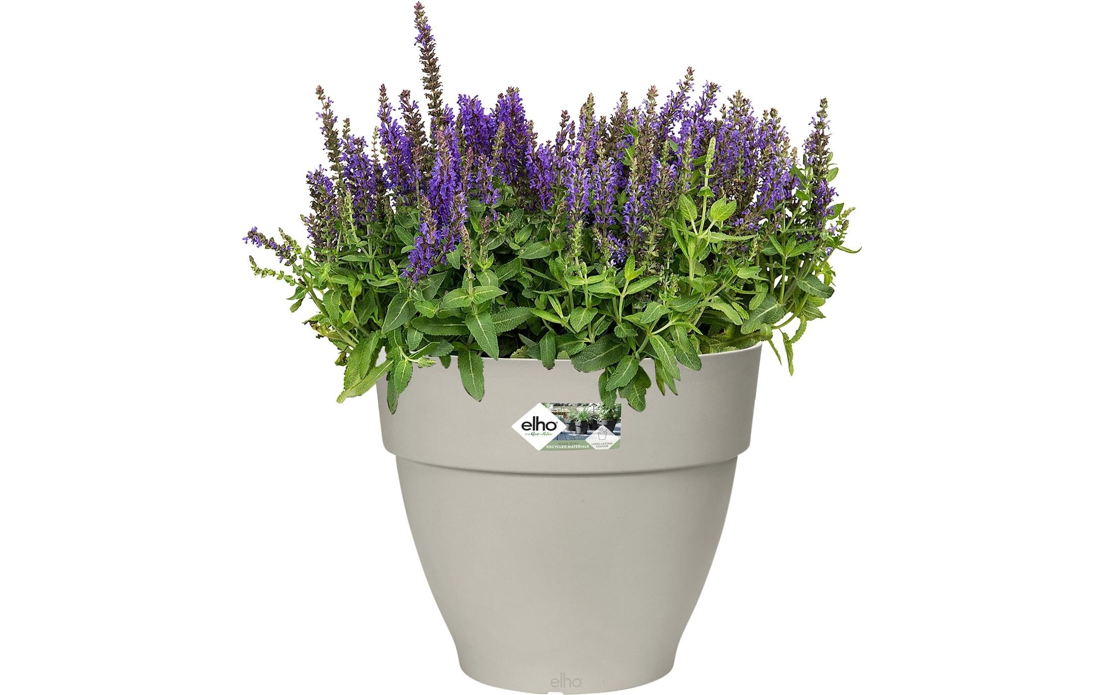 Elho Pot de fleurs »Vibia Campana Rund 35 cm«