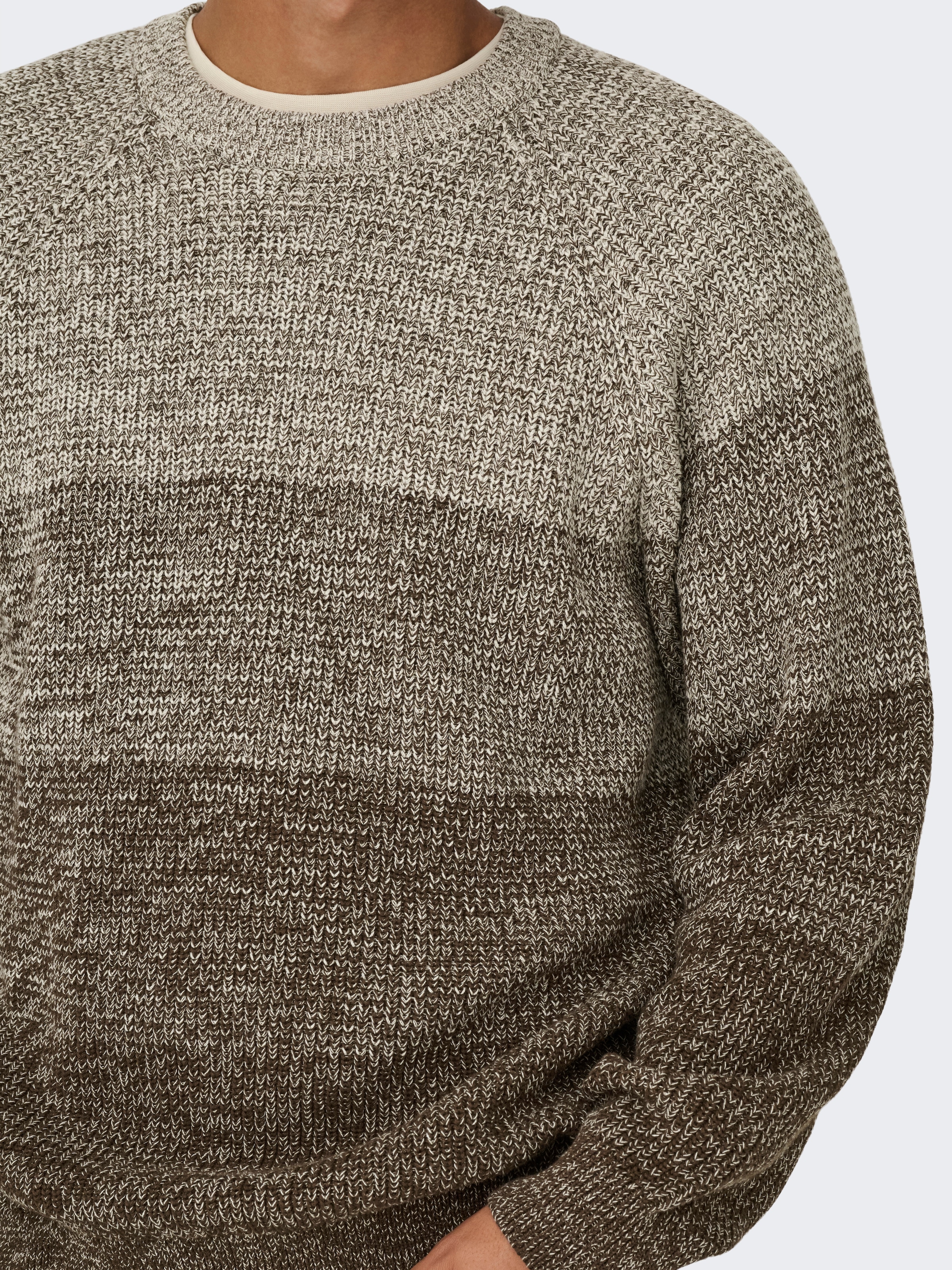 ONLY & SONS Rundhalspullover »ONSBIRK RLX LS RAGLAN KNIT CAMP«