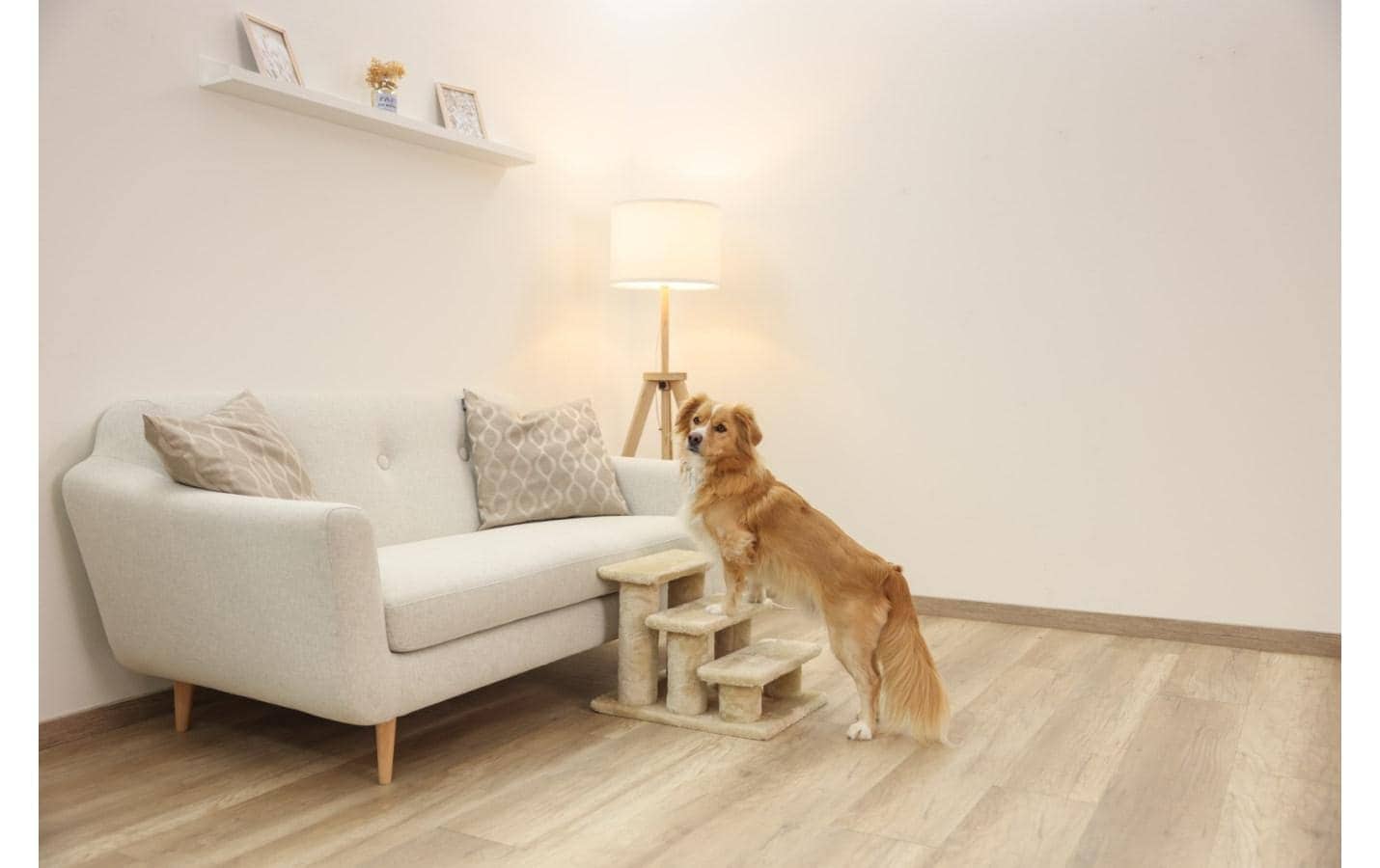 Kerbl Escalier pour animaux domestiques »Easy Climb 2.0, bis 50 kg 45 x 35 x 34 cm«