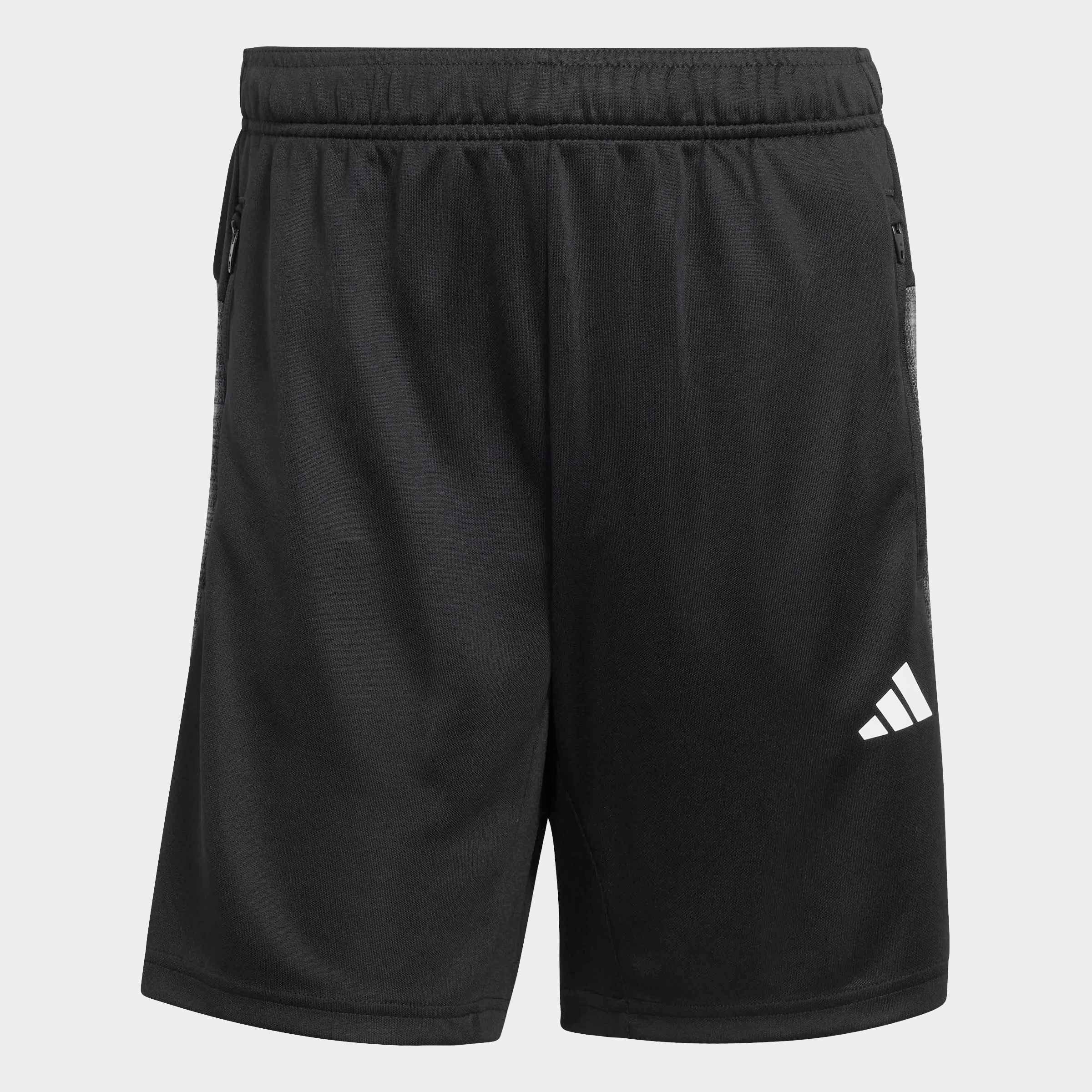 adidas Performance Short »WORKOUT ESSENTIALS ALL-SET«