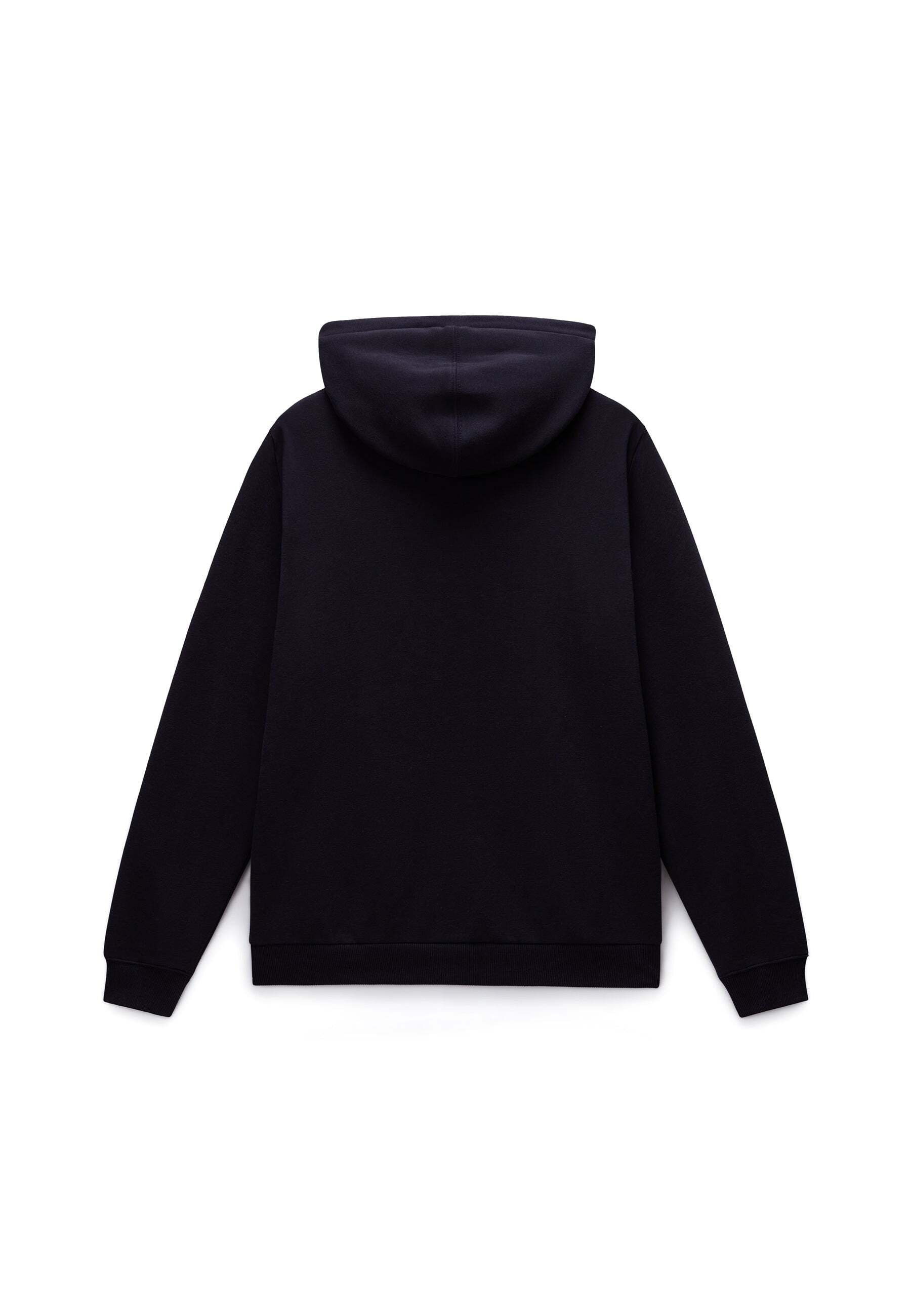 Napapijri Kapuzenpullover »Napapijri Kapuzenpullover BURGEE WINT 4«