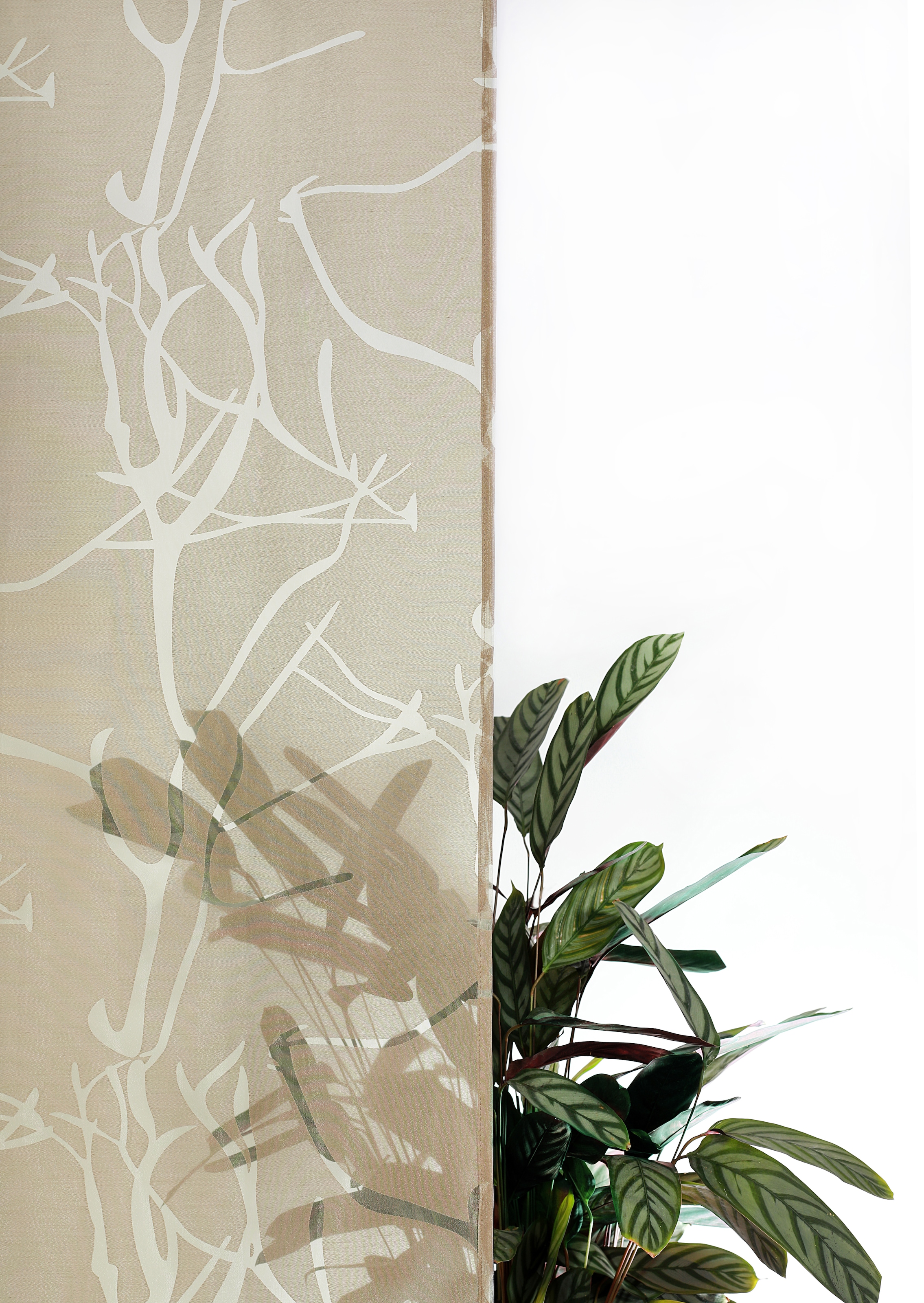 GOODproduct Scheibengardine »Anna, 1 Stück, halbtransparent, Ösen, Äste-Motiv« Ösen 1 Stk. tlg. Viskose & Polyester, Äste-Motiv