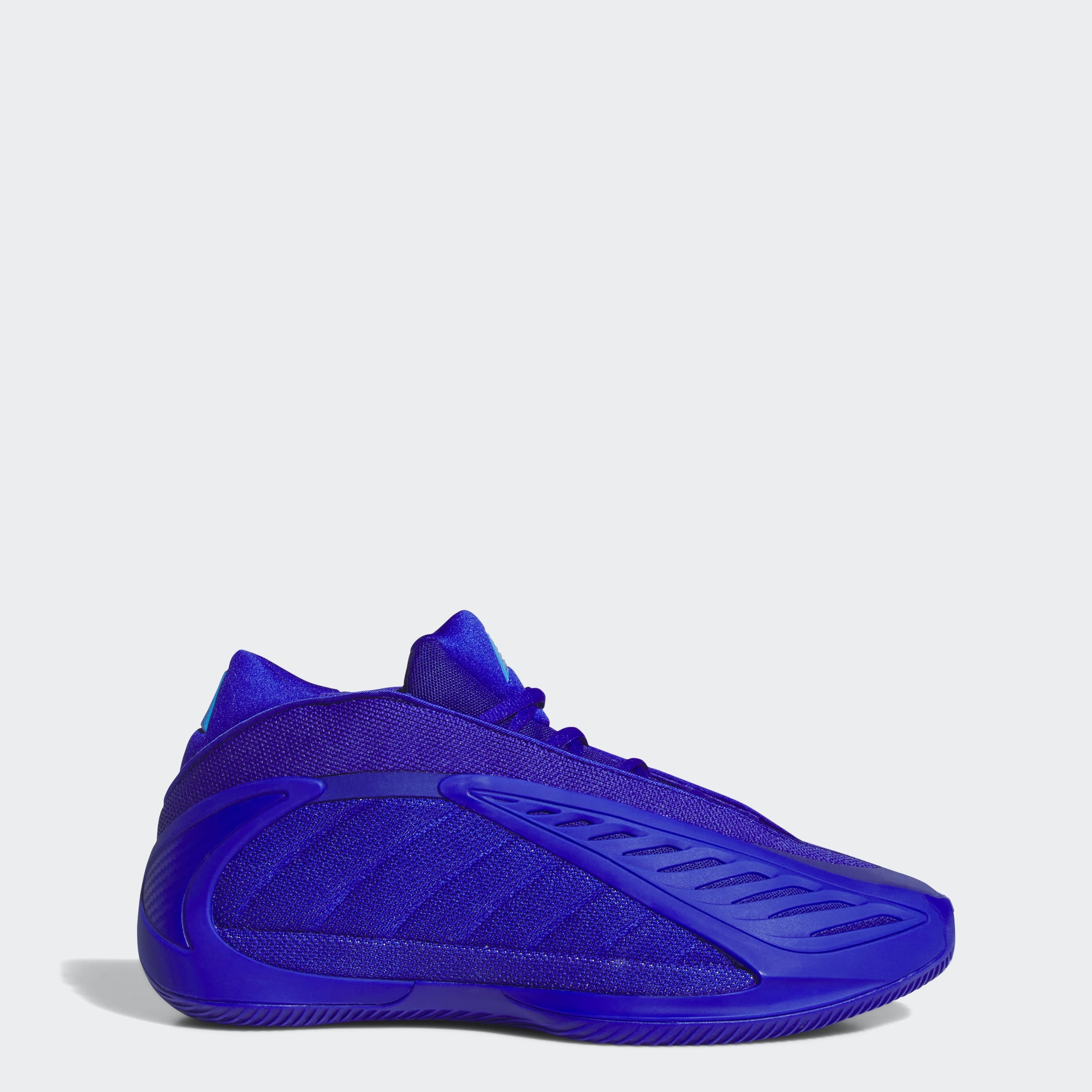 adidas Performance Chaussure de basket »ANTHONY EDWARDS 2«