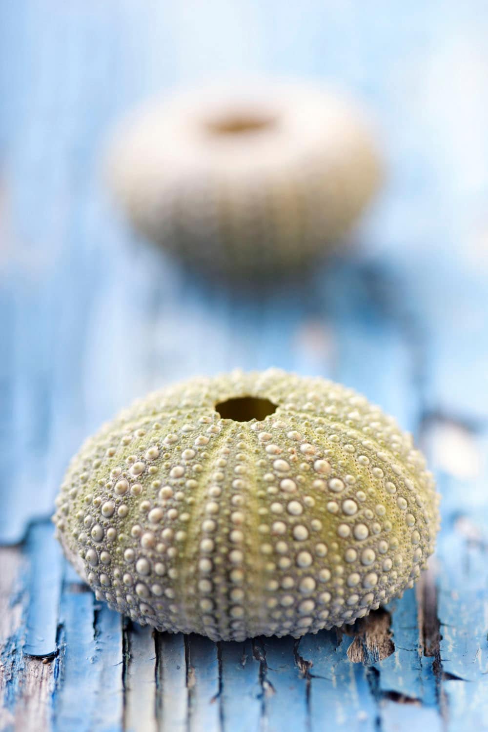 queence Tableau en verre acrylique »Emar« 1 cuis tlg. Fine Art-Print in Galeriequalität