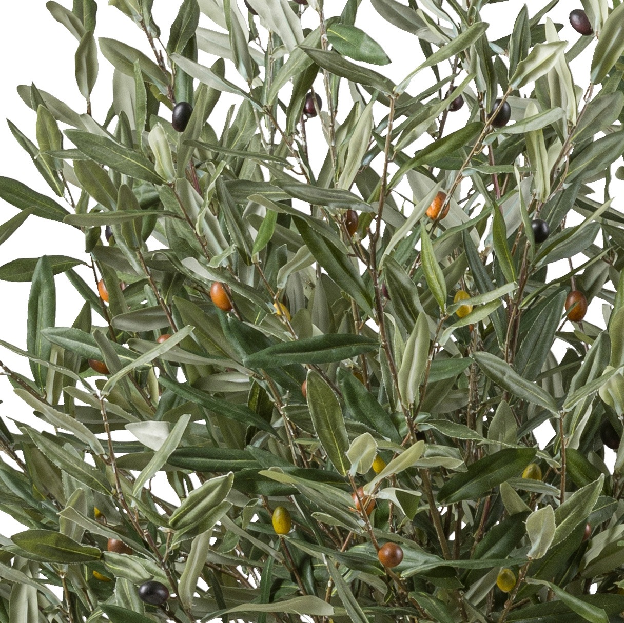 Creativ green Kunstbaum »Olive« mit echtem Holzstamm