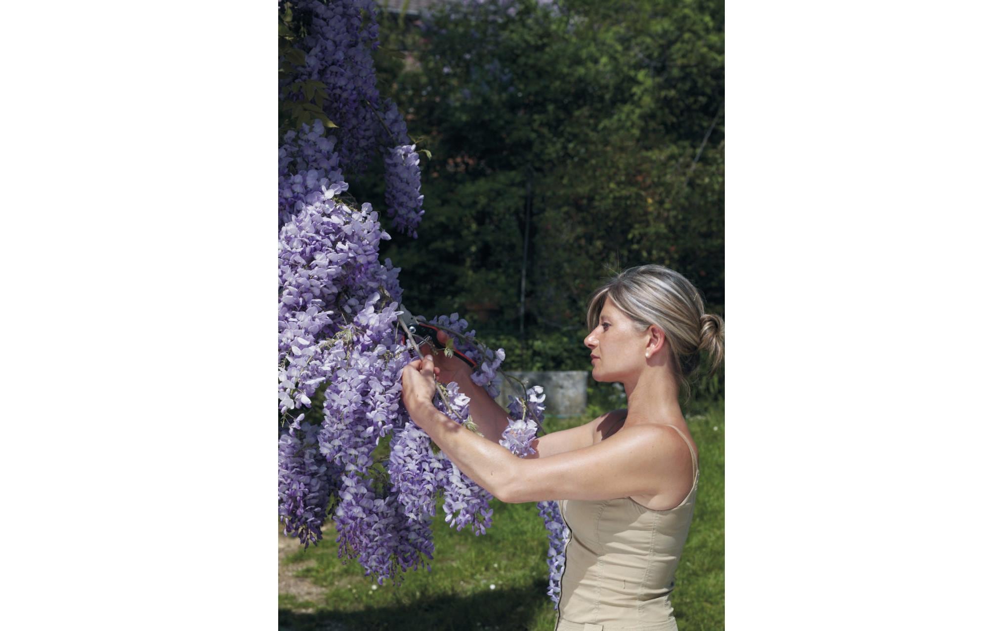 FELCO Sécateur de jardin »160 L«