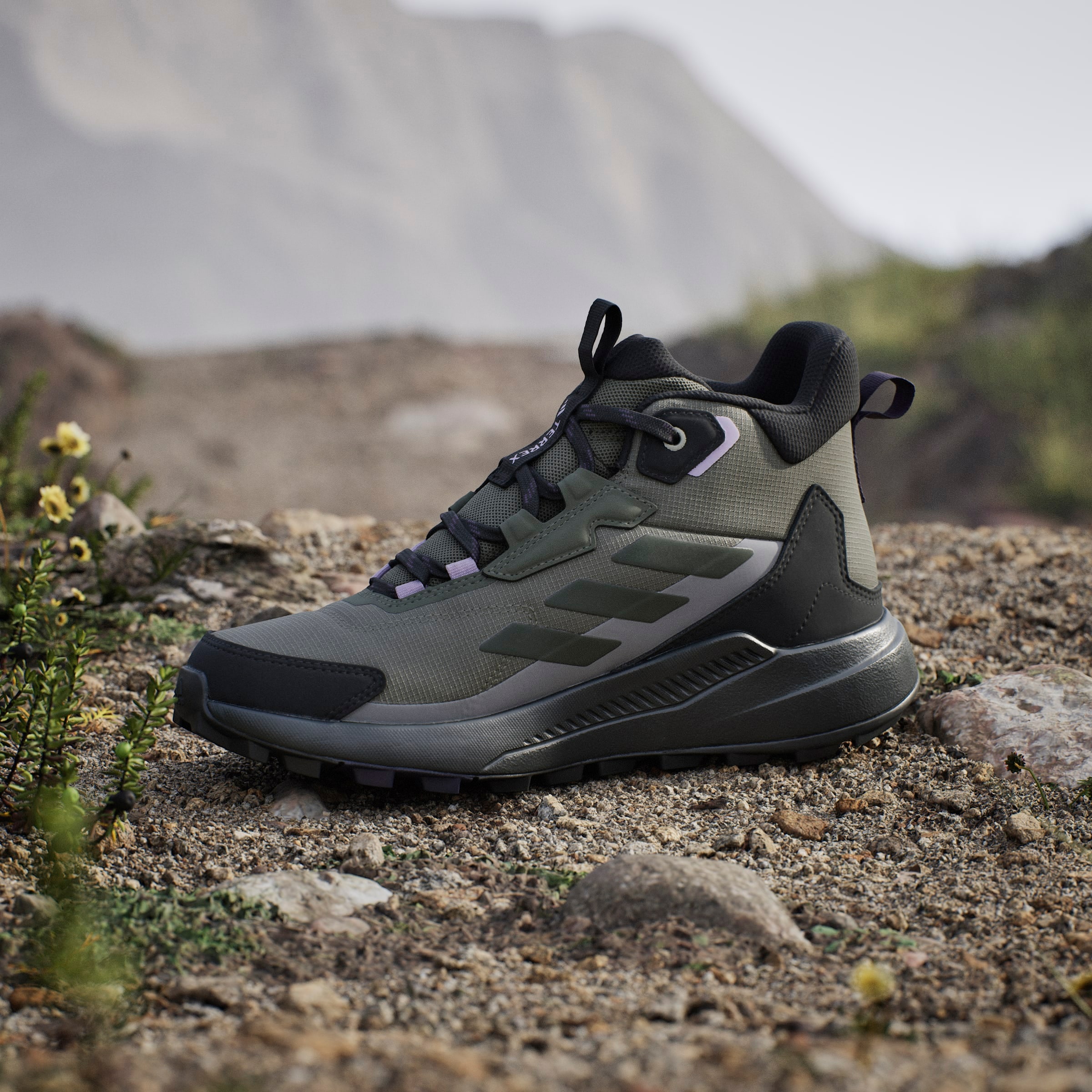 adidas TERREX Wanderschuh »TERREX ANYLANDER MID RAIN.RDY«  wasserdicht