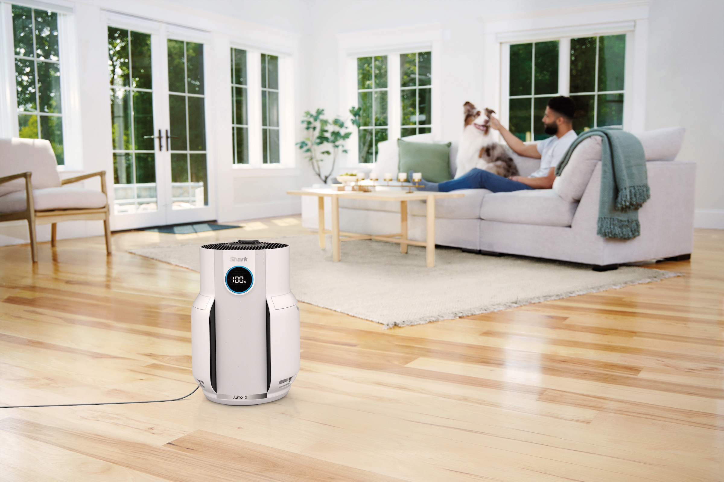 Shark Purificateur d'air »HP150EU NeverChange - bis zu 5 Jahre kein Filteraustausch« für 60  m² Räume für kraftvolle Reinigung, ideal für Allergiker, Familien & Haustiere