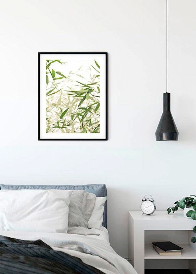 Komar Image »Bamboo Leaves« Feuilles | Plantes 1 cuis tlg. tableau mural décoratif - sans cadre